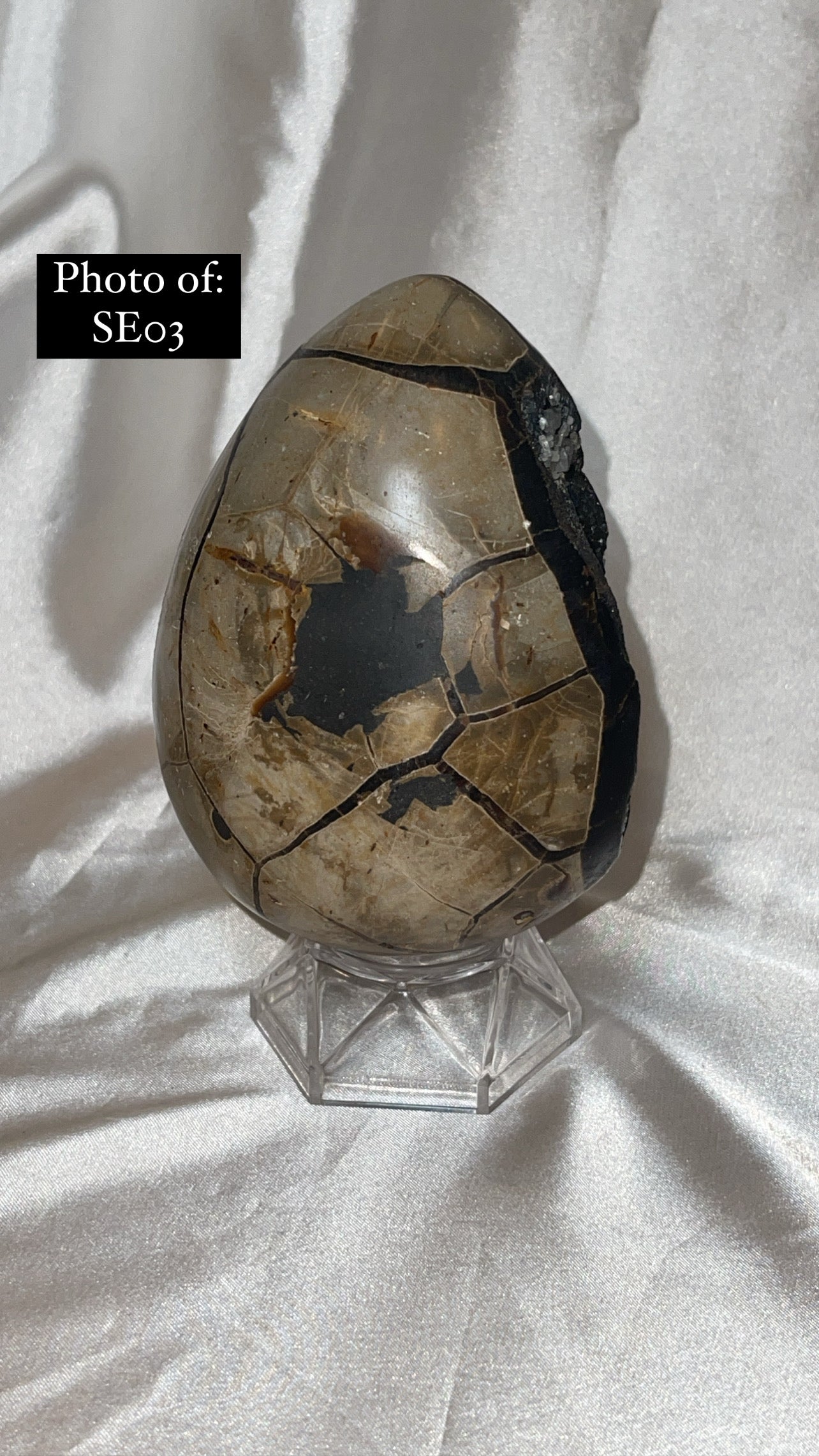 Septerian Large Dragon Egg