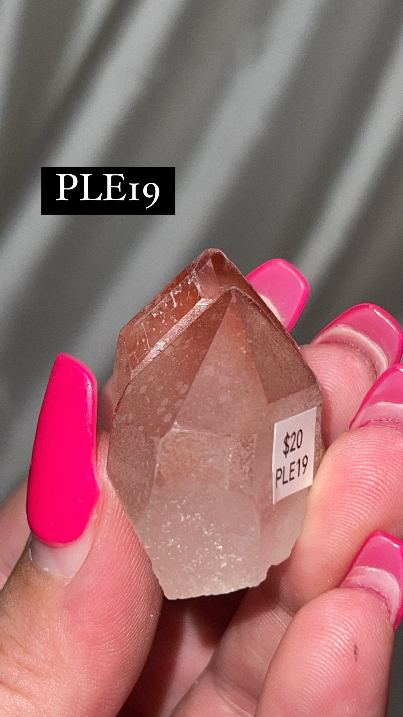 Scarlet Temple Lemurian (Choose Your Own)