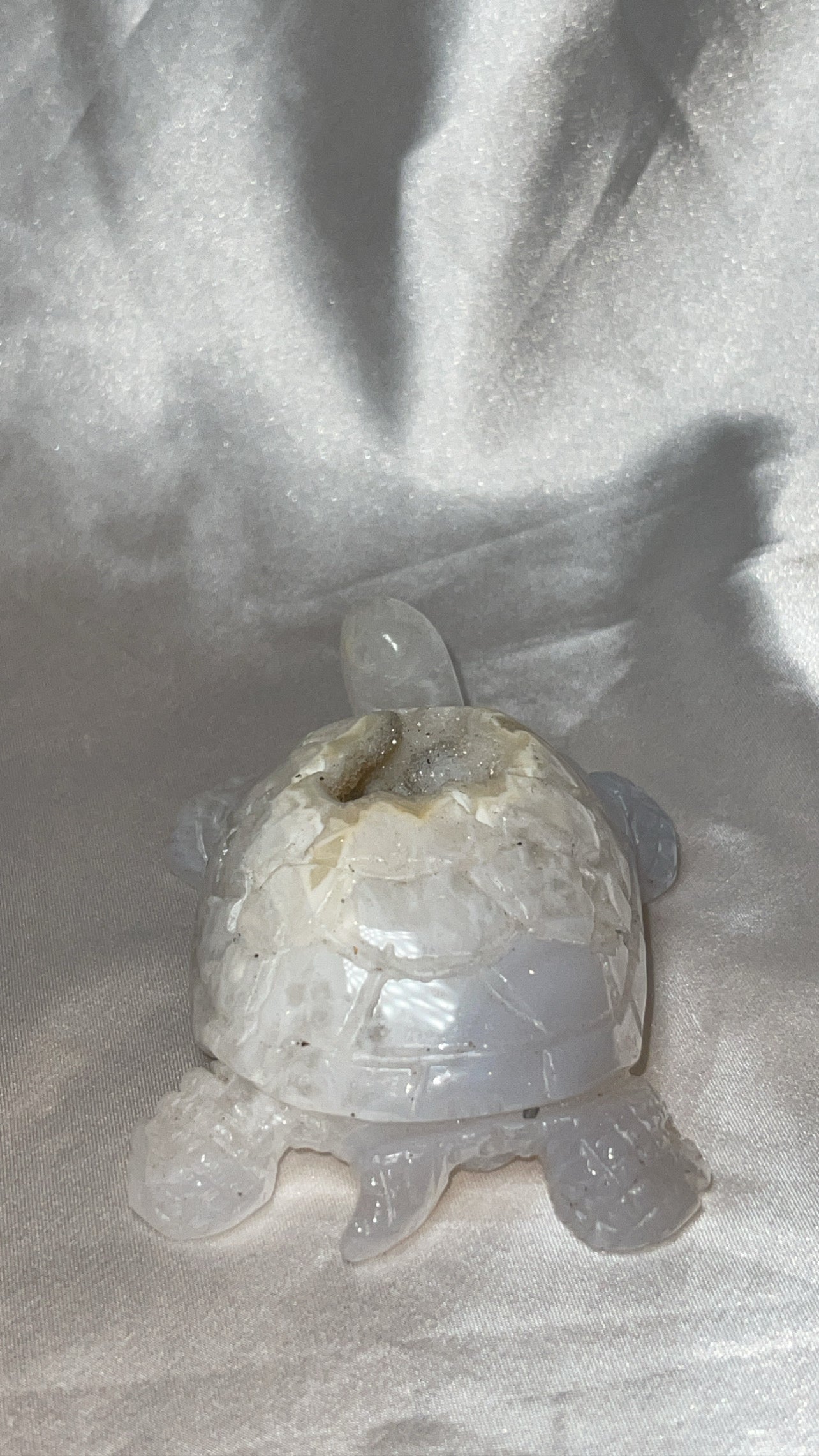 Druzy Agate AAA Large Turtle
