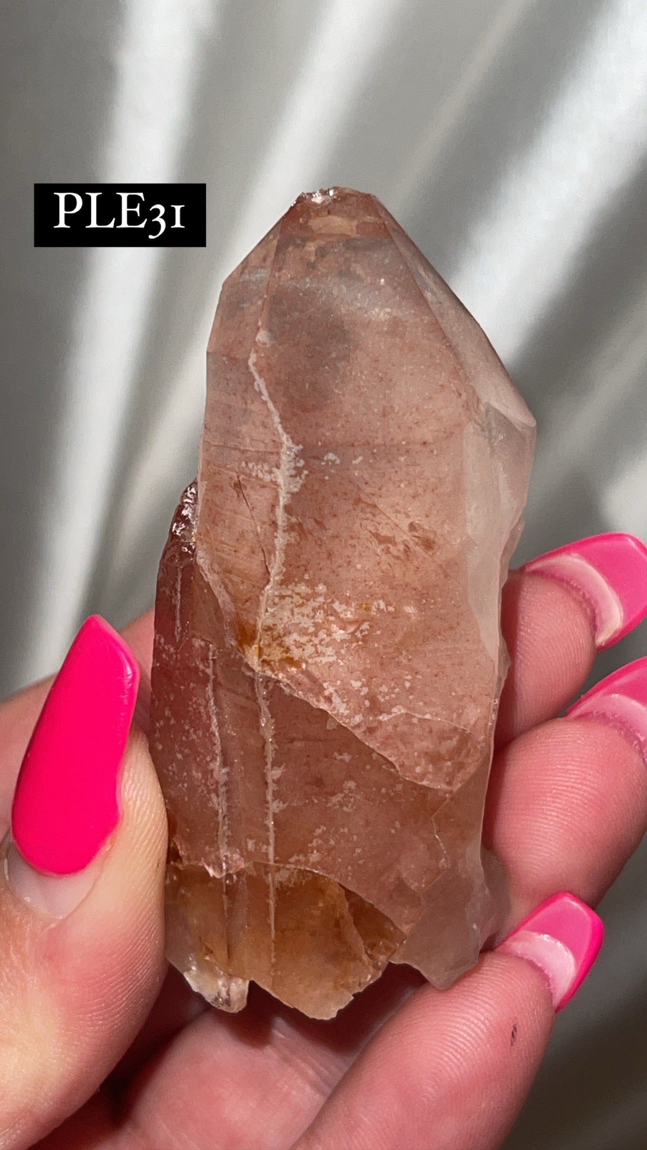 Scarlet Temple Lemurian (Choose Your Own)