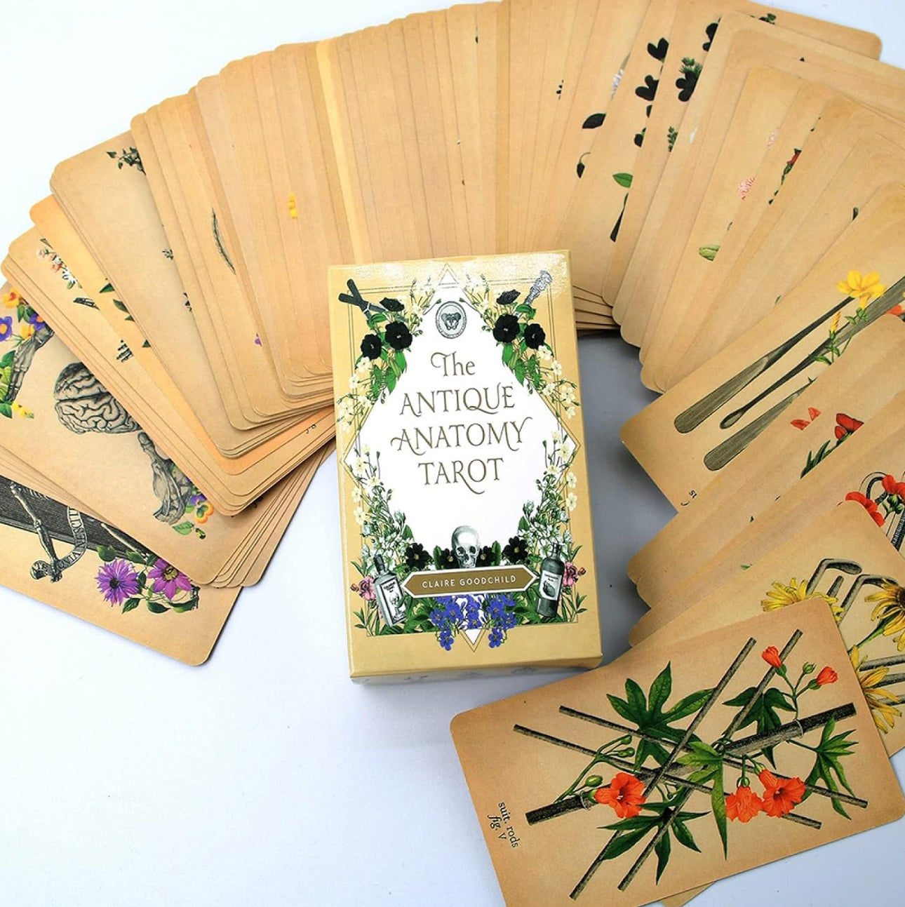 The Antique Anatomy Tarot Deck