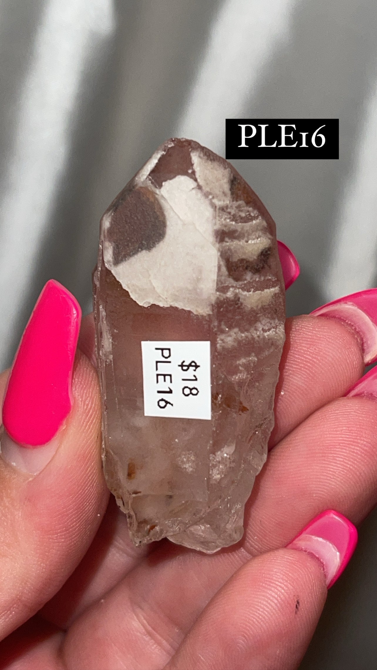 Scarlet Temple Lemurian (Choose Your Own)