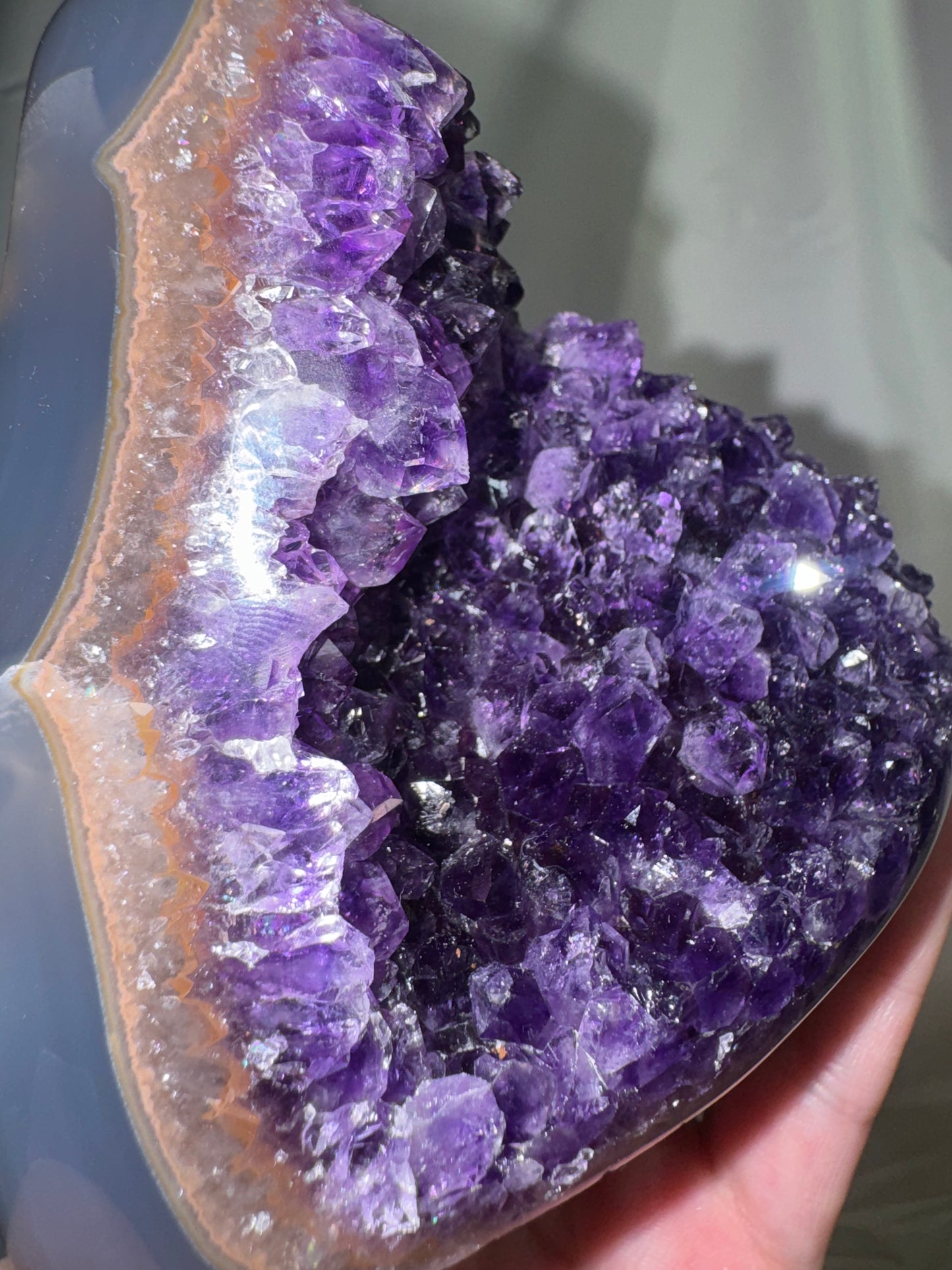 Uruguay Amethyst Large Freeform