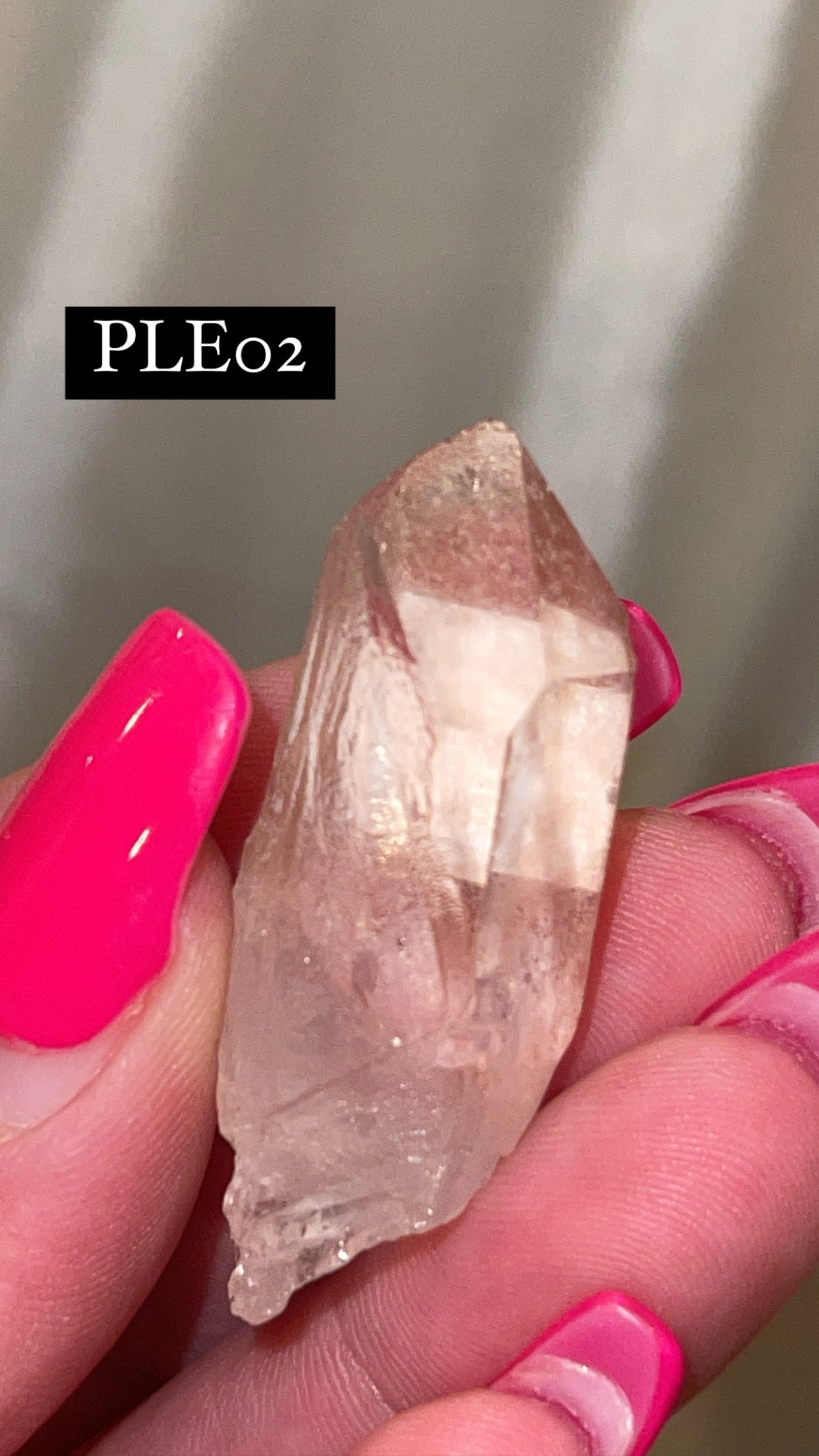 Scarlet Temple Lemurian (Choose Your Own)