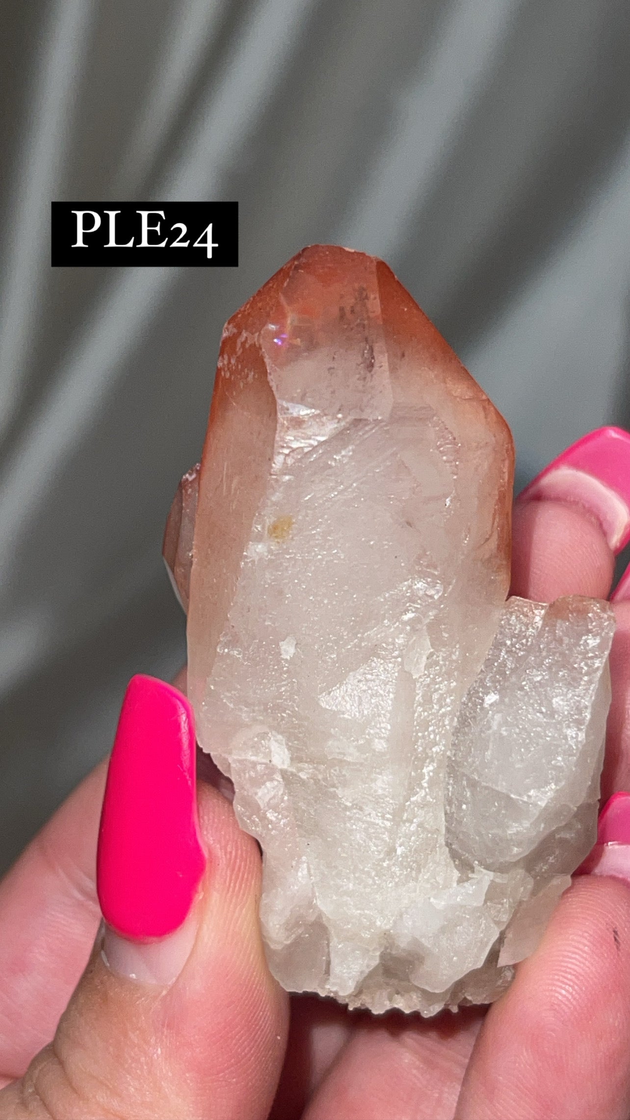 Scarlet Temple Lemurian (Choose Your Own)