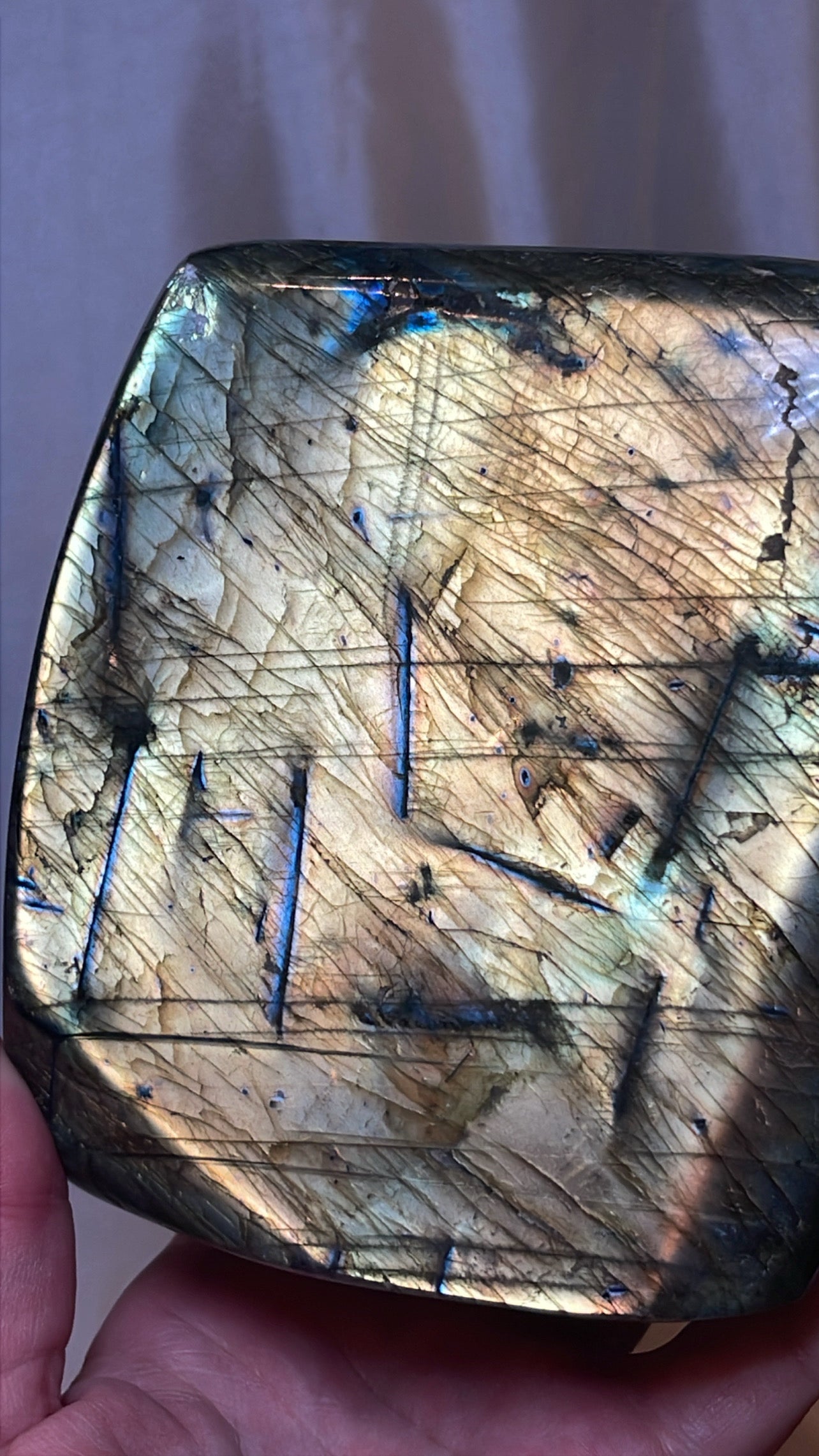 Labradorite XL Freeform