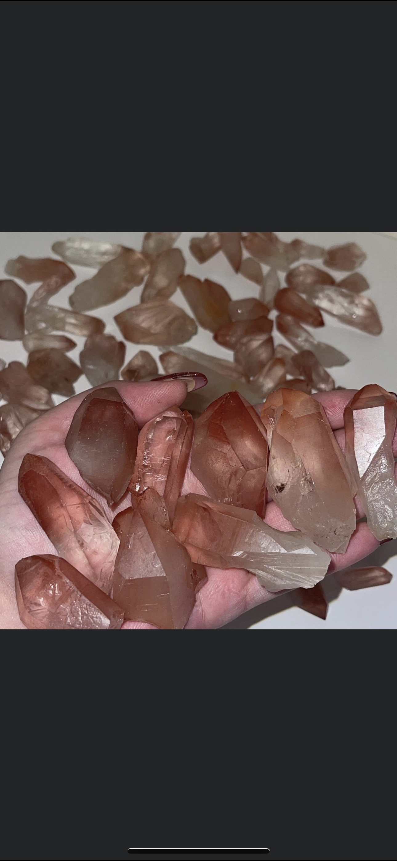 Scarlet Temple Lemurian (Choose Your Own)