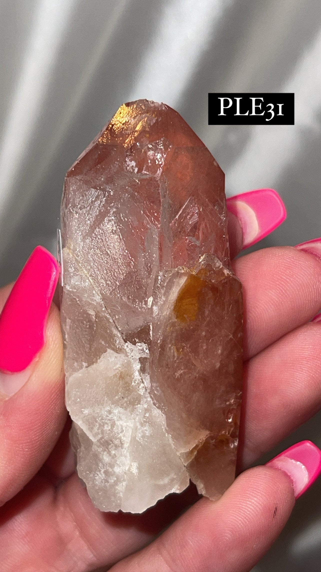 Scarlet Temple Lemurian (Choose Your Own)
