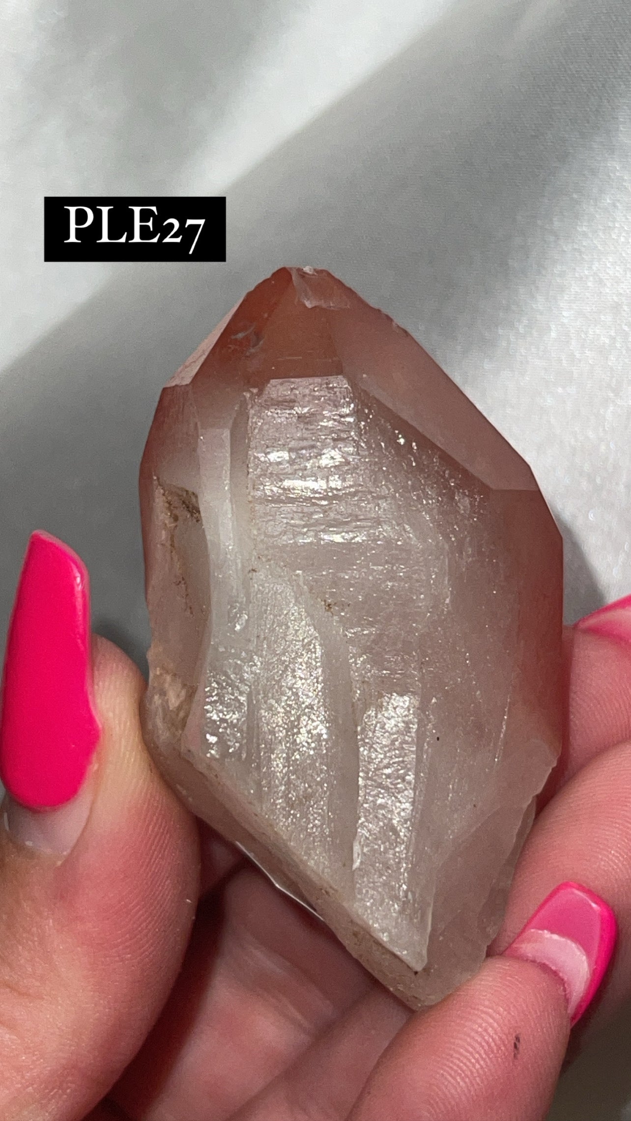 Scarlet Temple Lemurian (Choose Your Own)