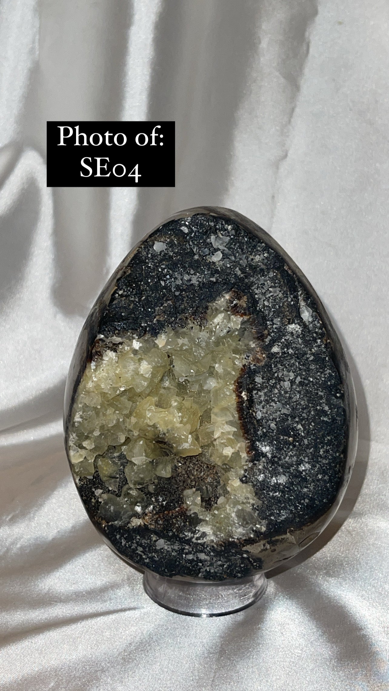 Septerian Large Dragon Egg