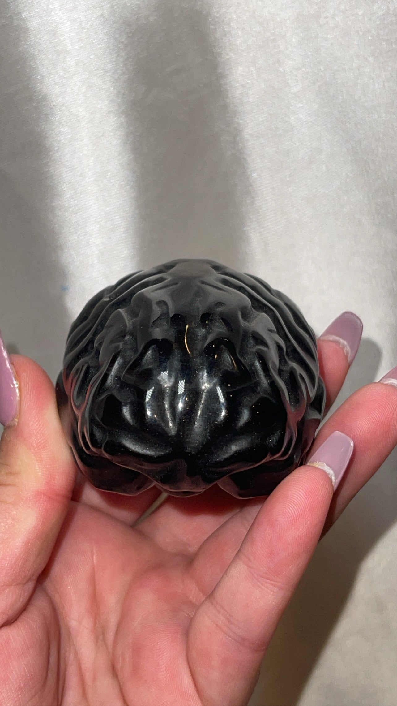 Silver Sheen Obsidian Large Anatomical Brain