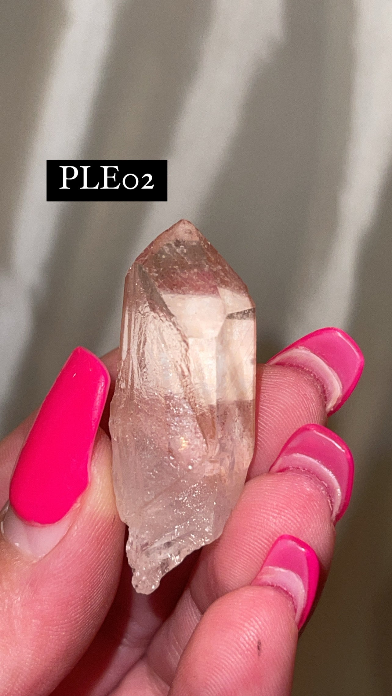 Scarlet Temple Lemurian (Choose Your Own)