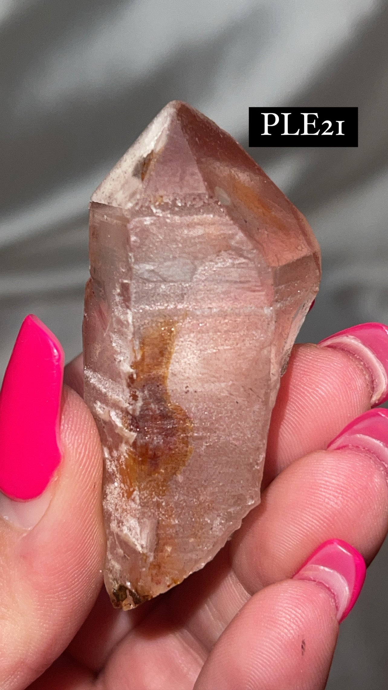 Scarlet Temple Lemurian (Choose Your Own)
