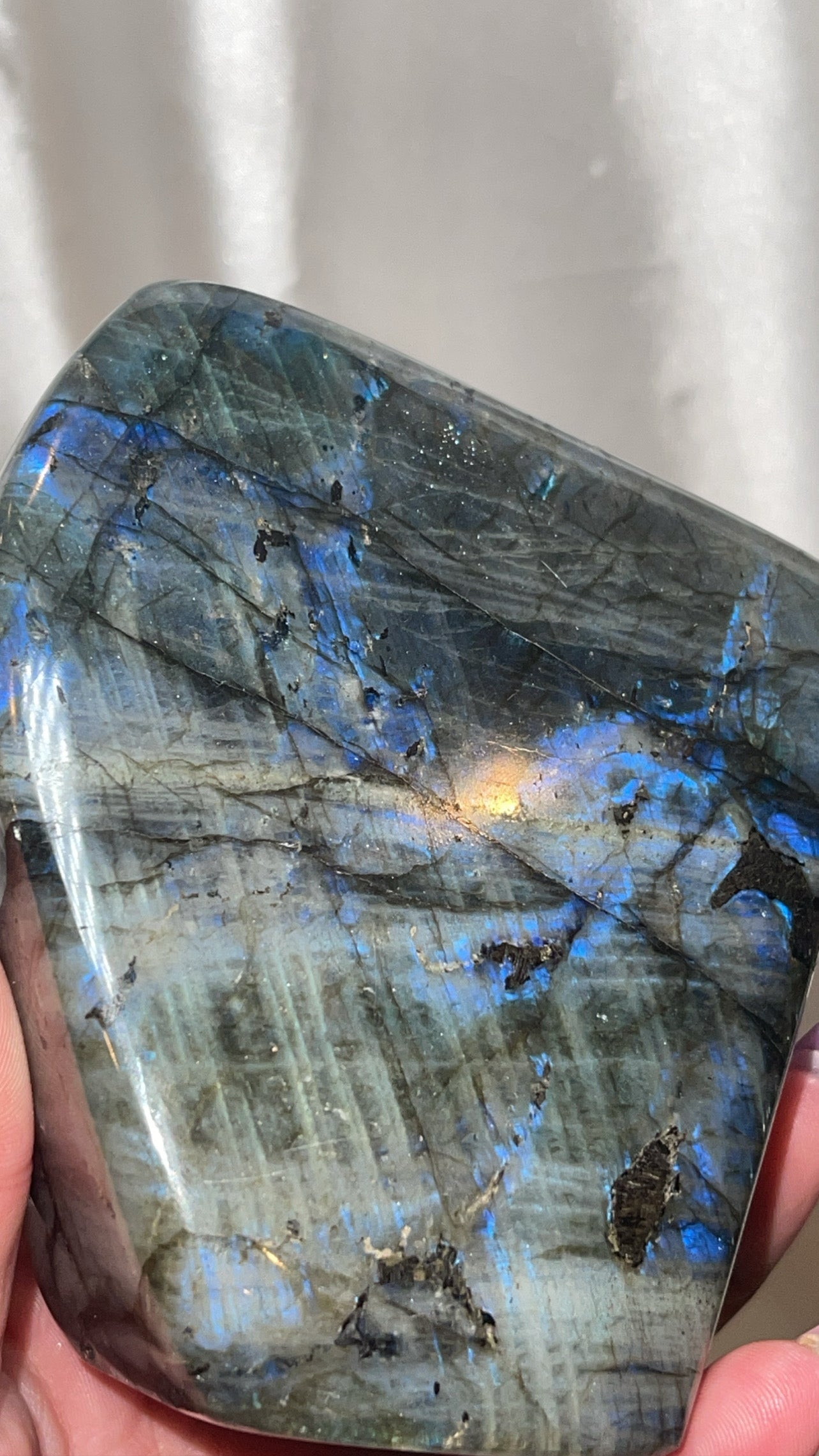 Labradorite XL Freeform