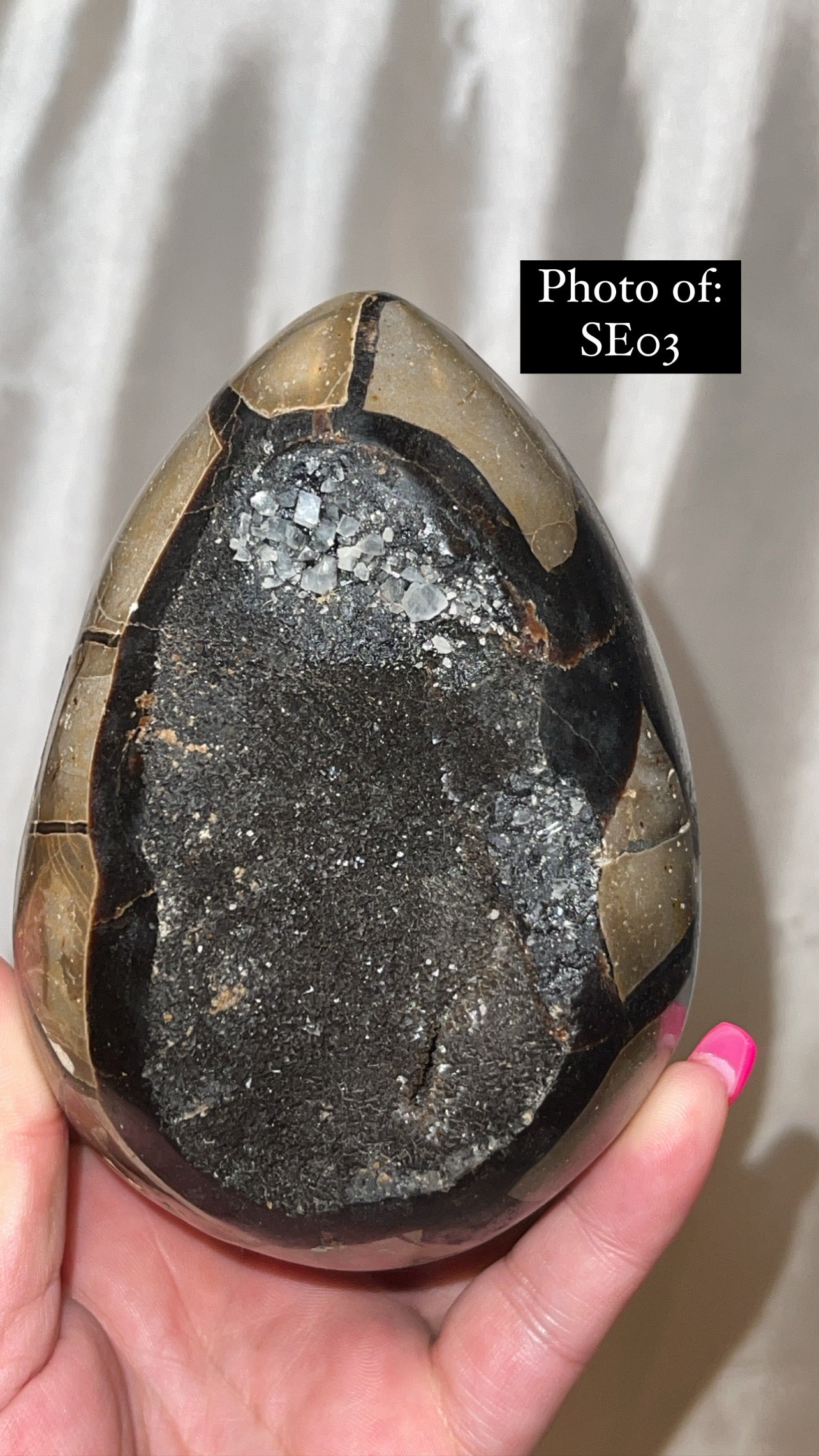 Septerian Large Dragon Egg