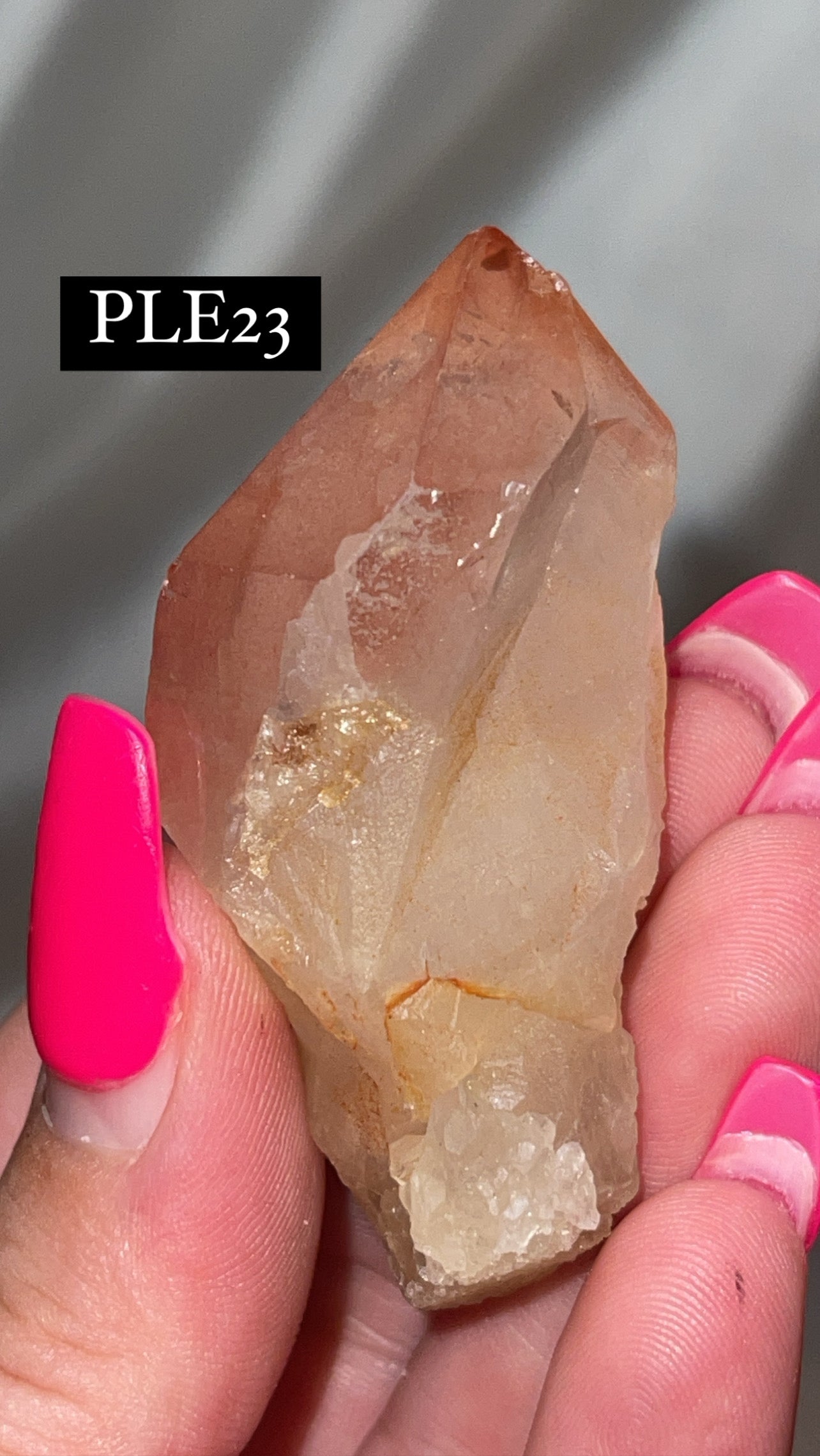 Scarlet Temple Lemurian (Choose Your Own)