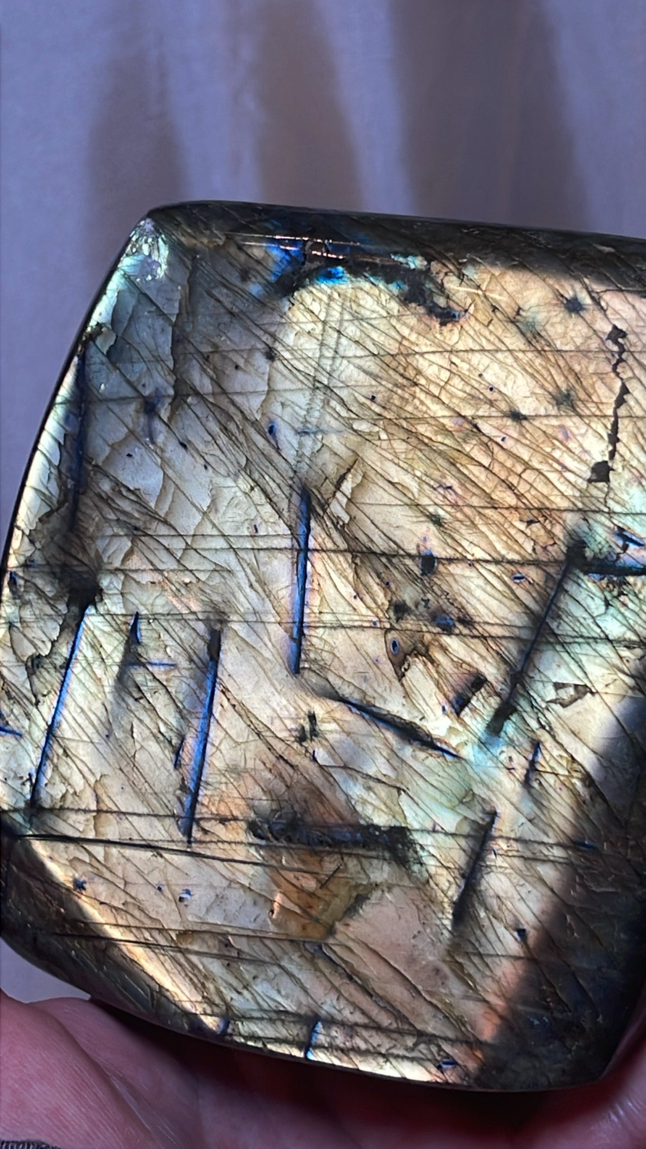 Labradorite XL Freeform