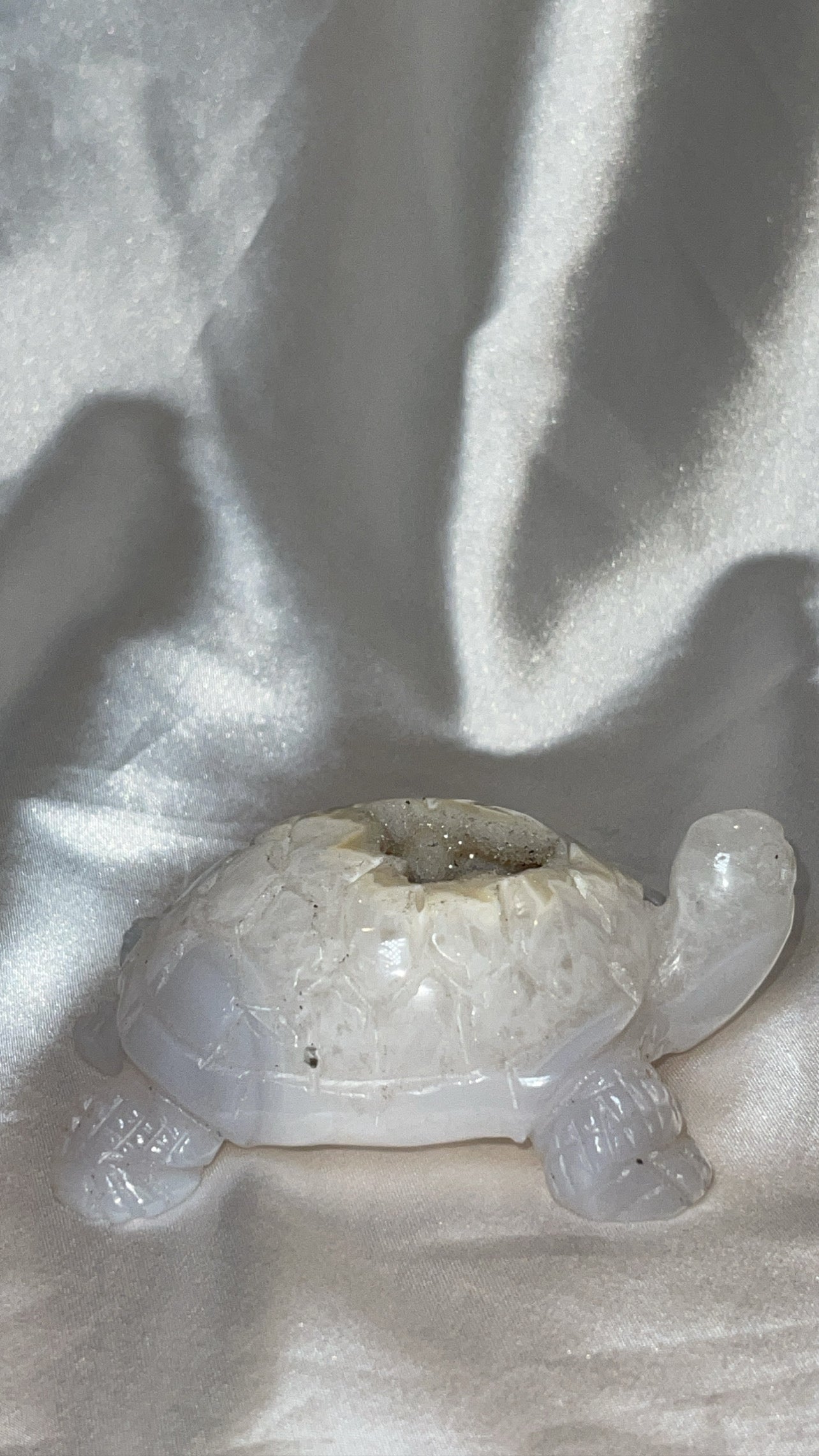 Druzy Agate AAA Large Turtle