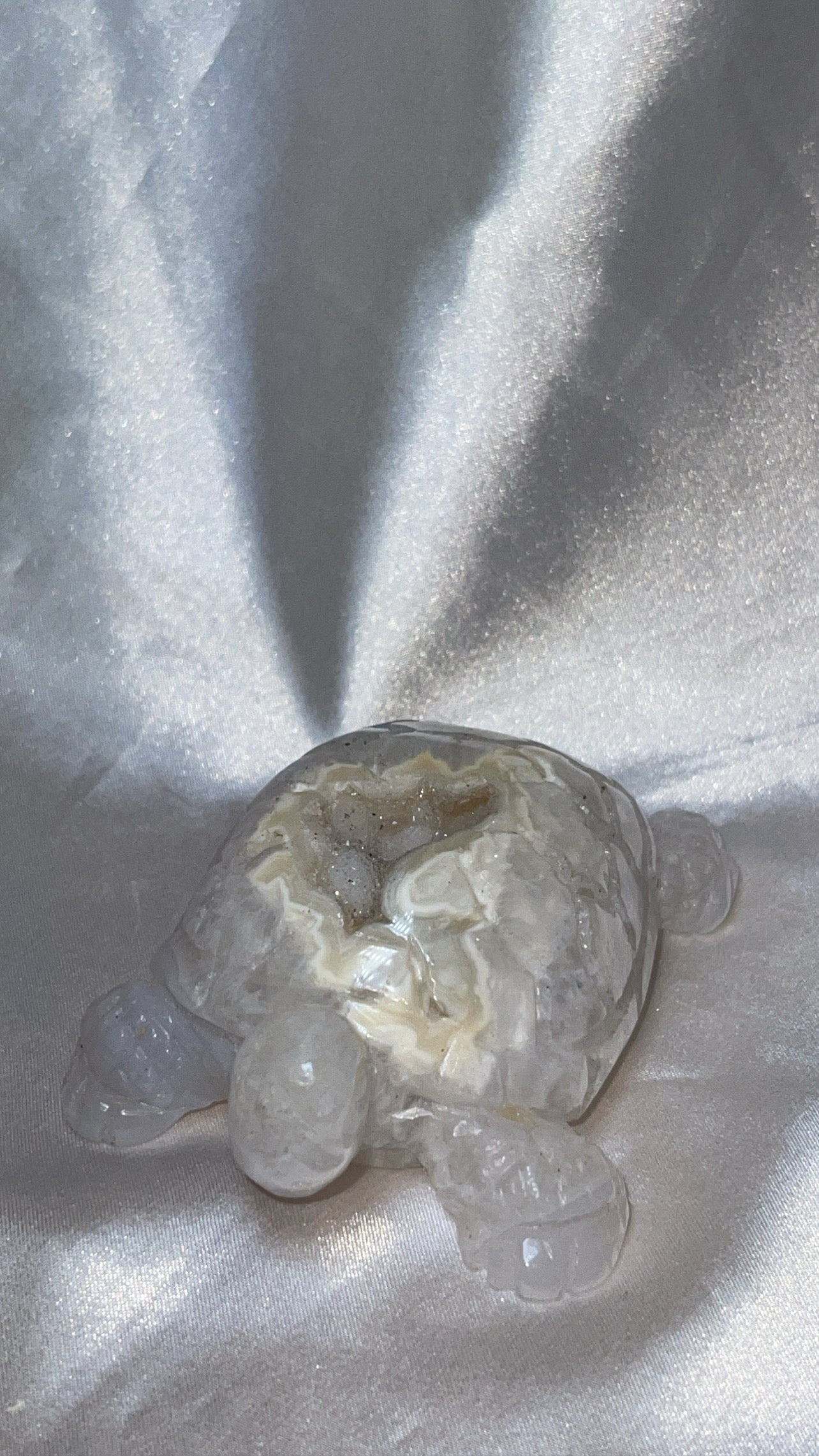 Druzy Agate AAA Large Turtle
