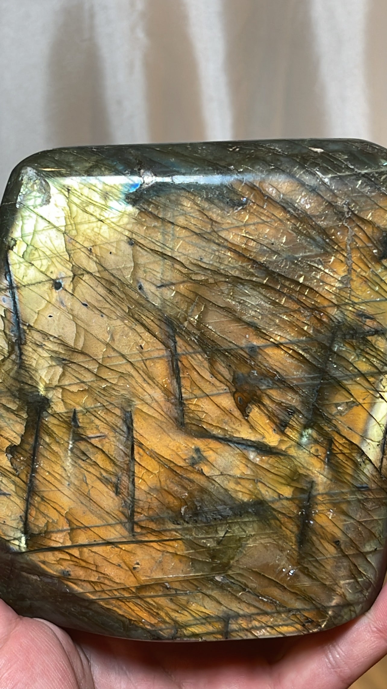 Labradorite XL Freeform