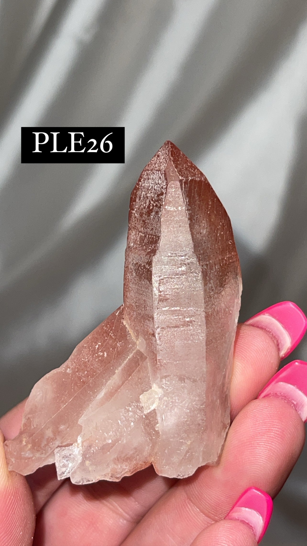 Scarlet Temple Lemurian (Choose Your Own)
