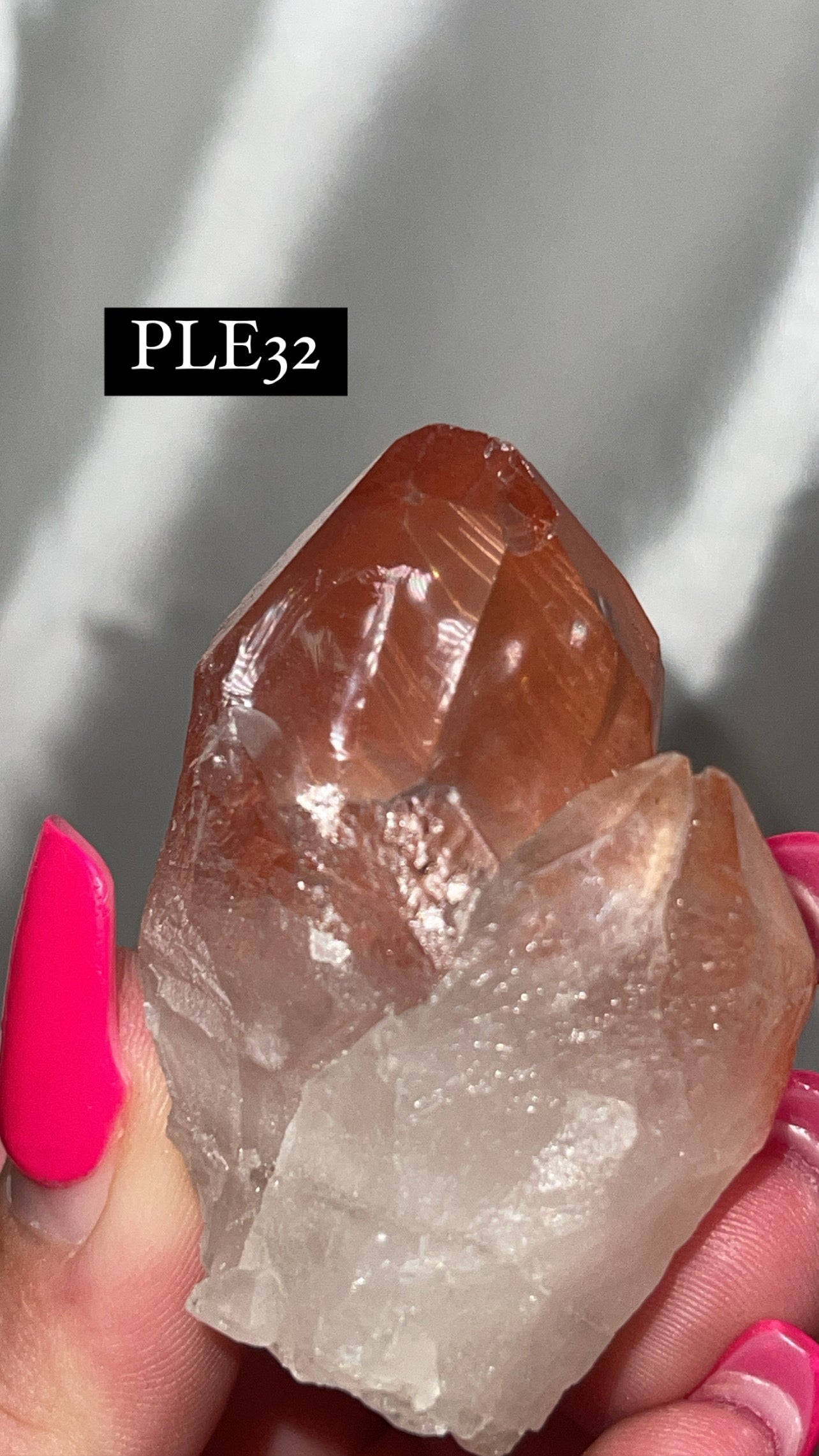 Scarlet Temple Lemurian (Choose Your Own)