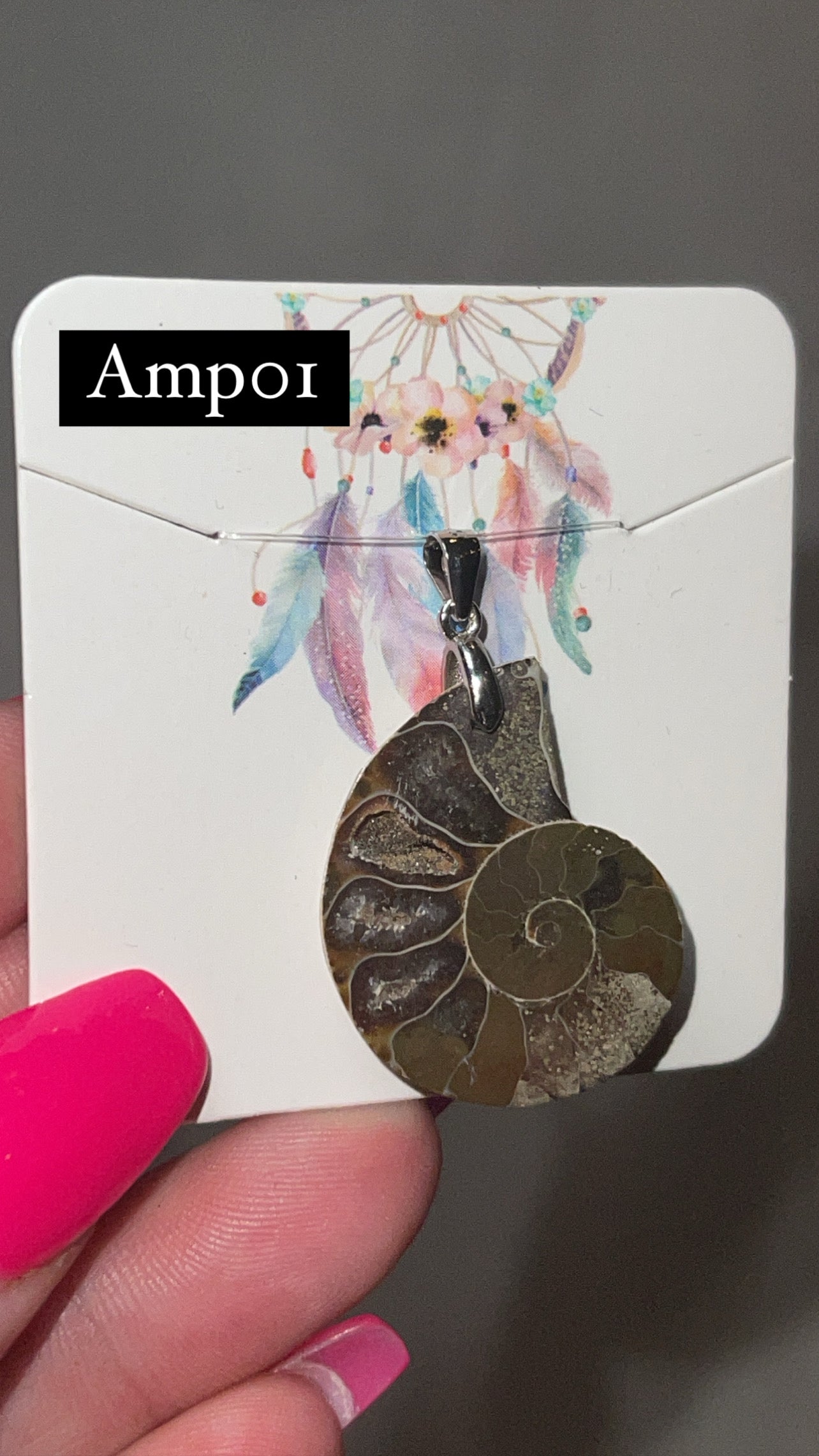 Ammonite Pendant (Choose Your Own)