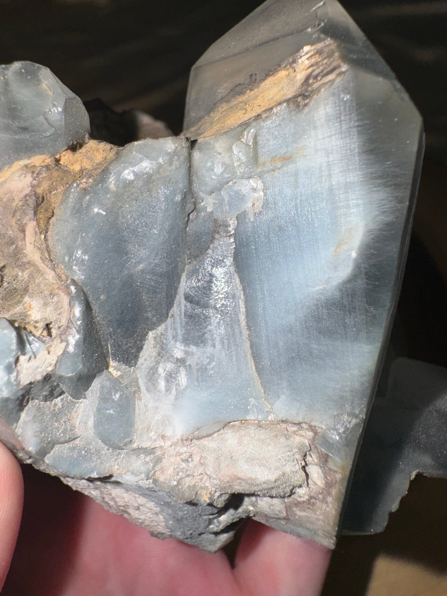 Blue Tara Rare Large Specimen