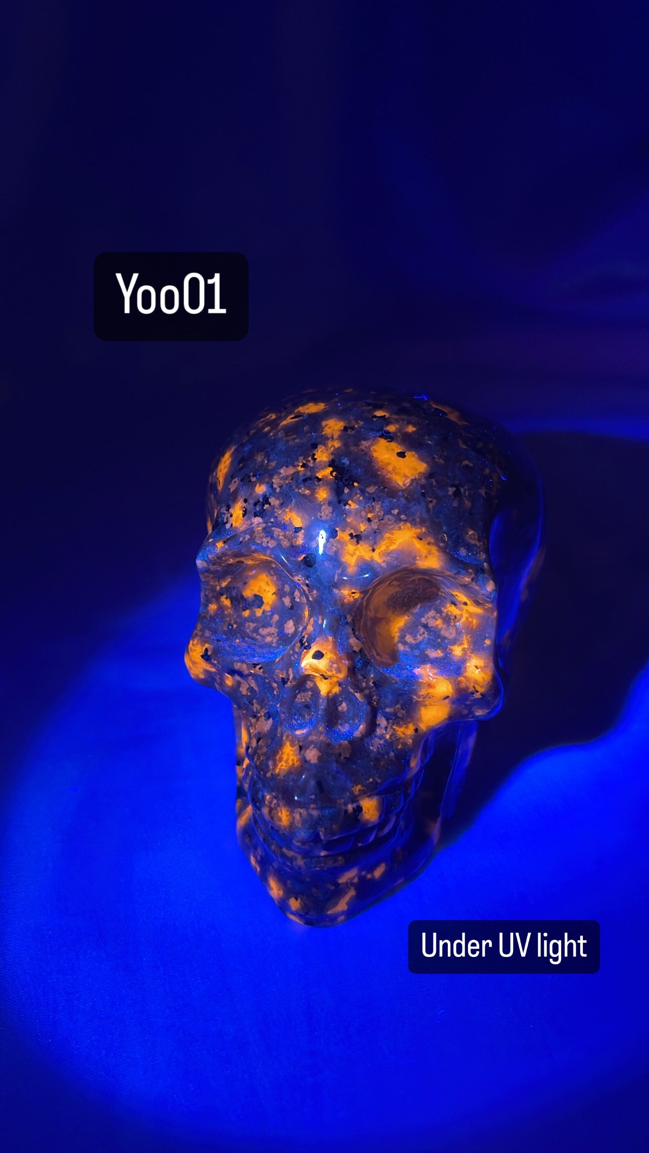 Yooperlite Medium Skull