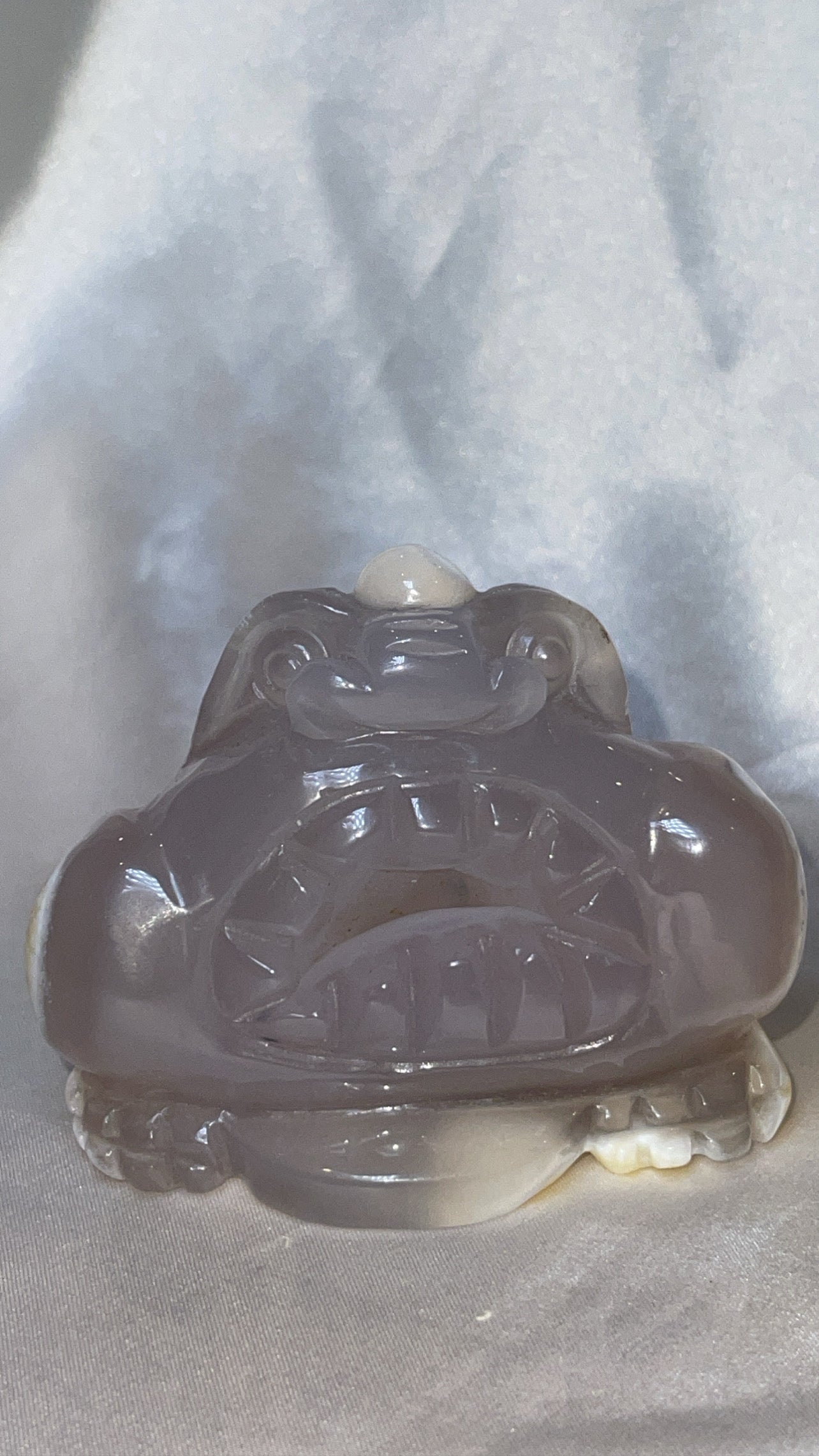 Druzy Agate Money Frog