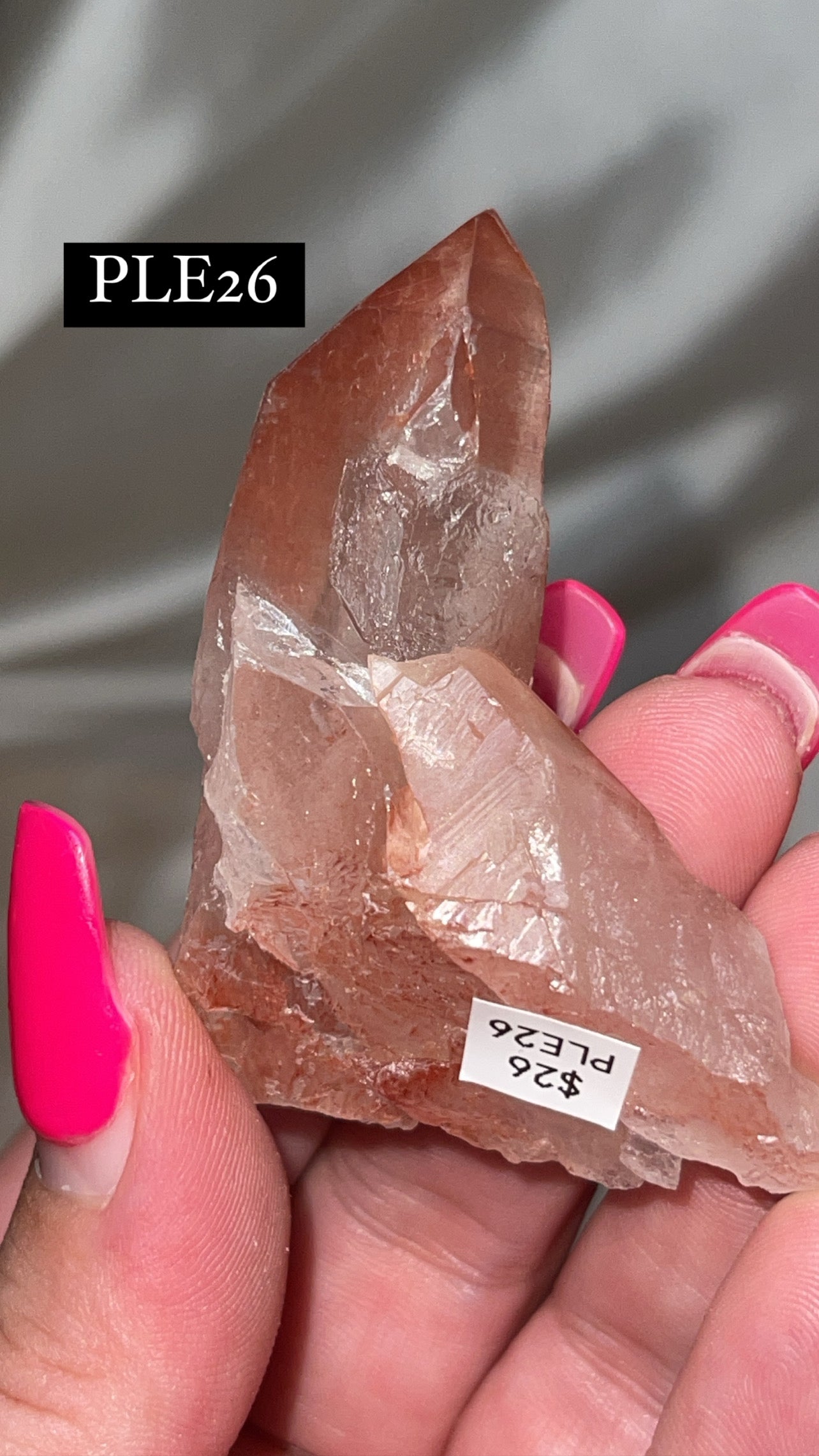 Scarlet Temple Lemurian (Choose Your Own)