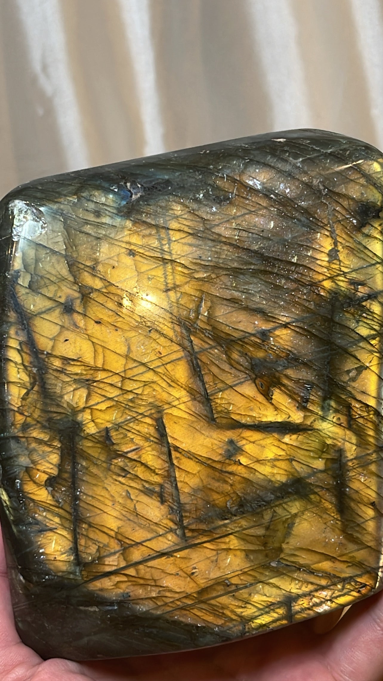 Labradorite XL Freeform