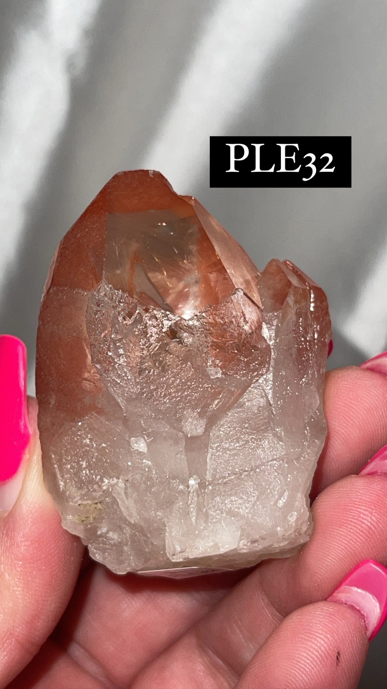 Scarlet Temple Lemurian (Choose Your Own)