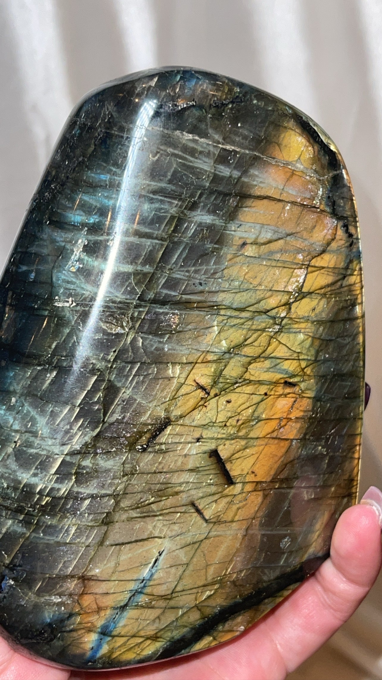 Labradorite XL Freeform