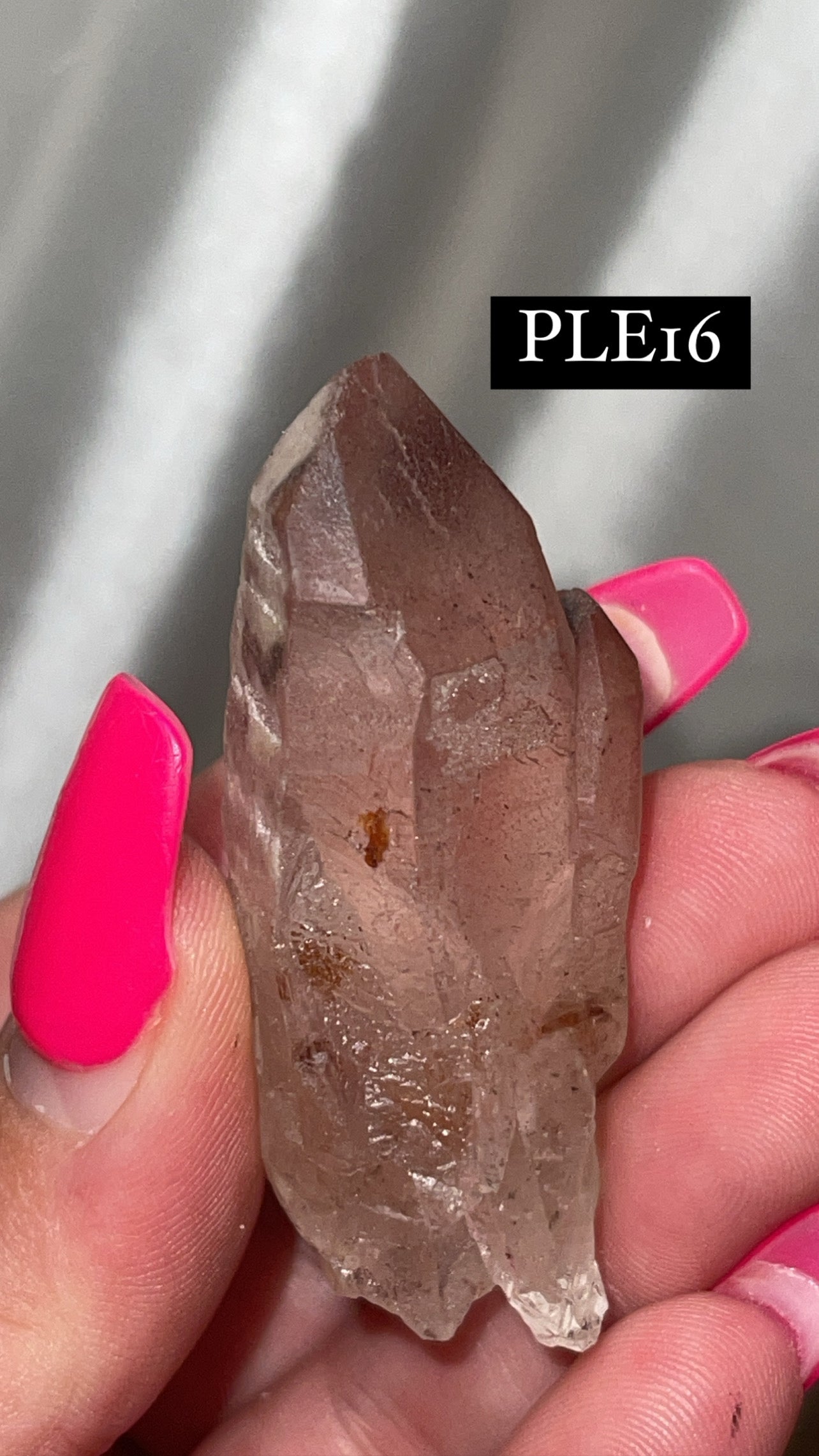 Scarlet Temple Lemurian (Choose Your Own)