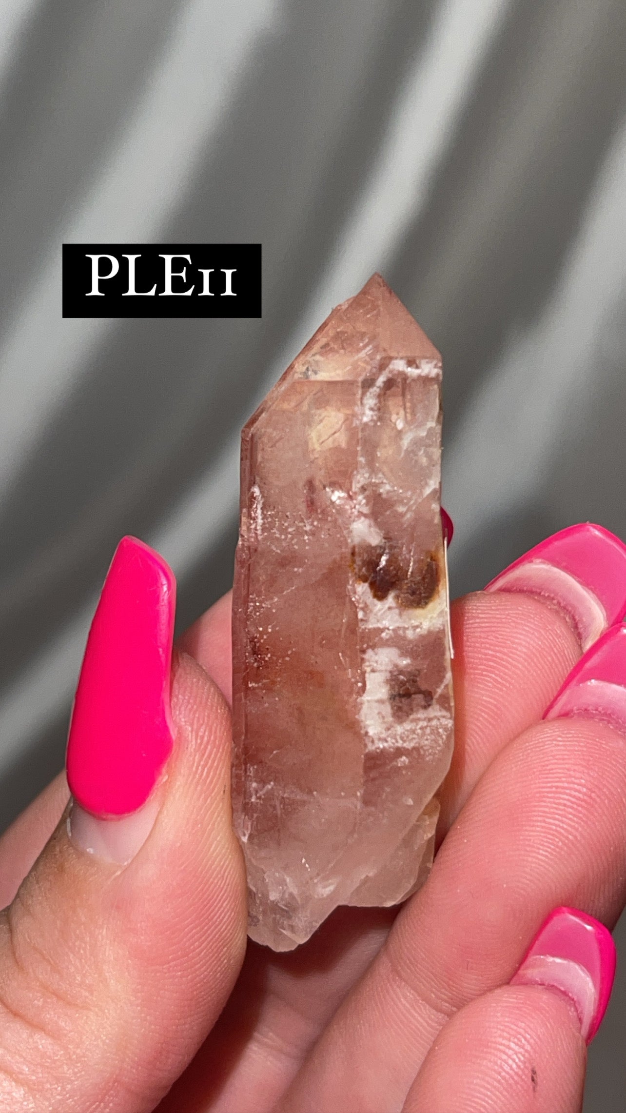 Scarlet Temple Lemurian (Choose Your Own)