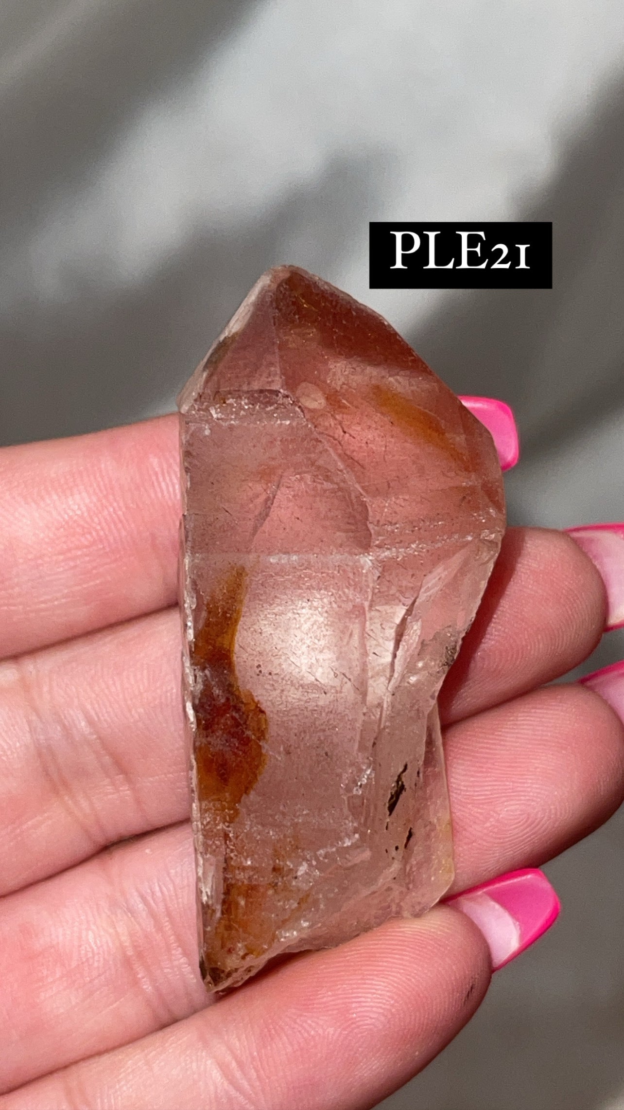 Scarlet Temple Lemurian (Choose Your Own)