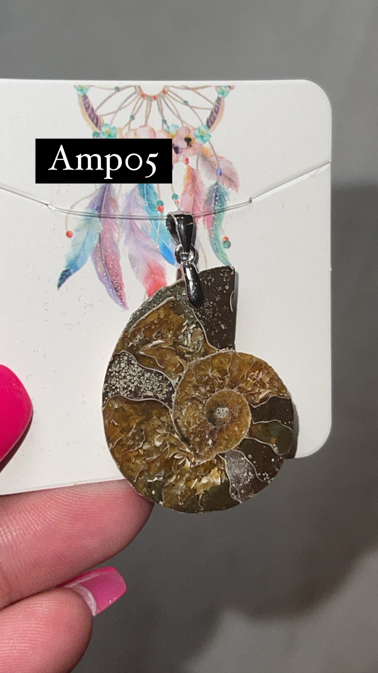 Ammonite Pendant (Choose Your Own)