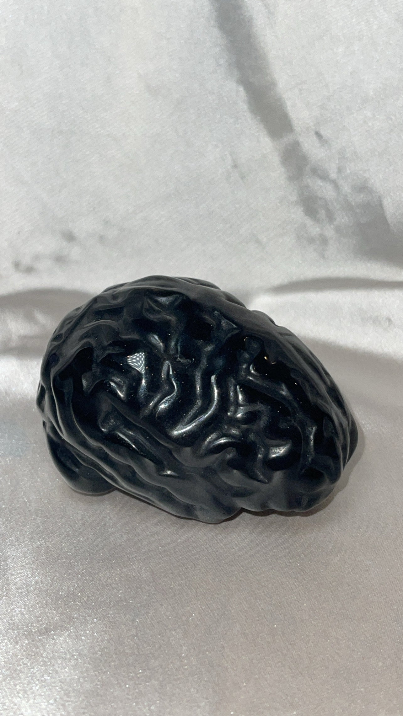 Silver Sheen Obsidian Large Anatomical Brain