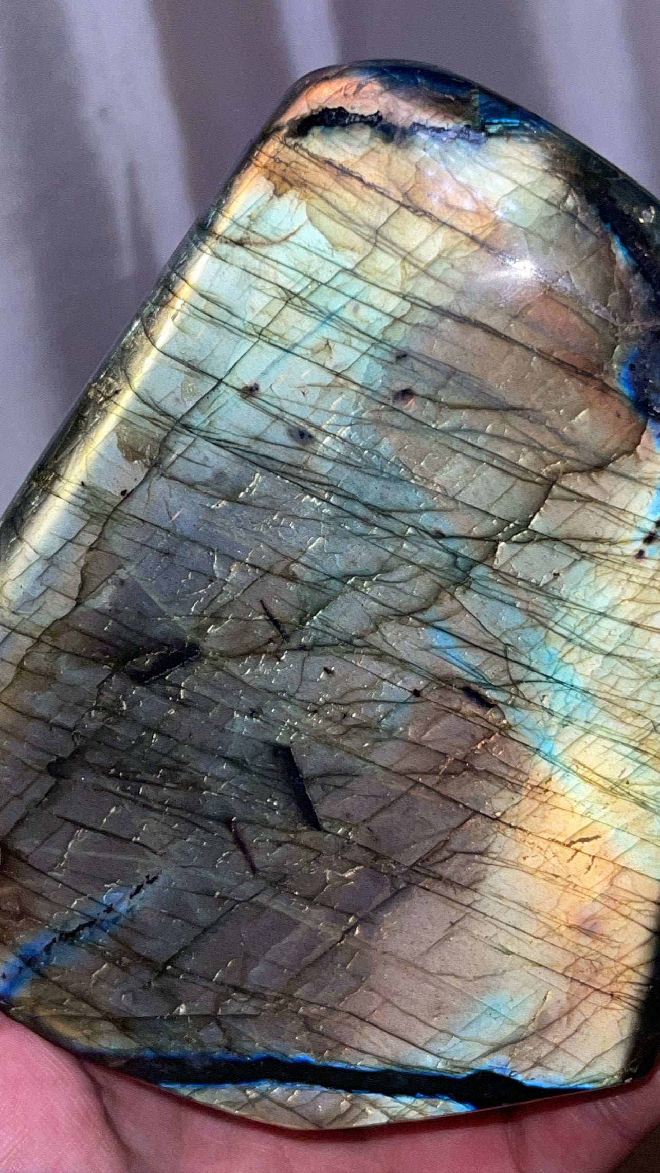Labradorite XL Freeform