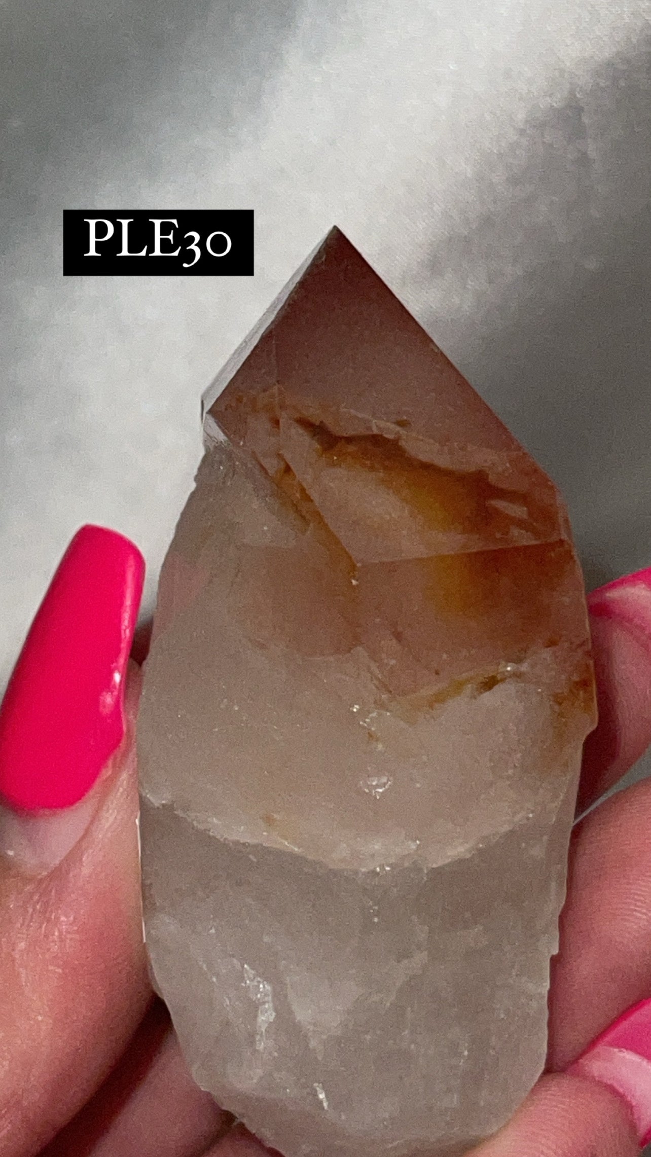 Scarlet Temple Lemurian (Choose Your Own)