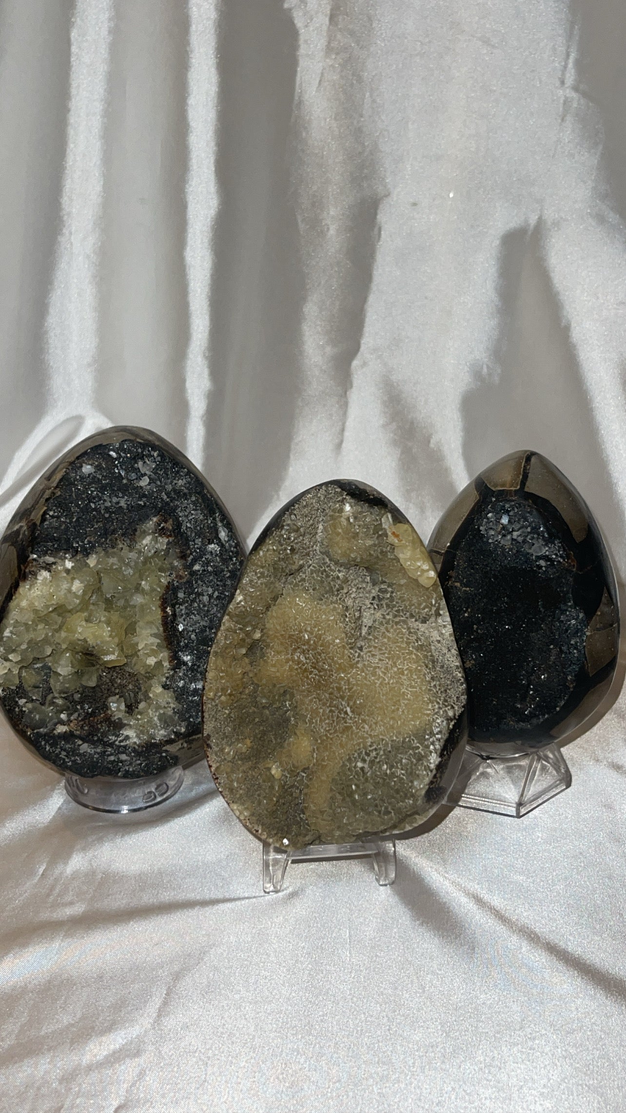 Septerian Large Dragon Egg