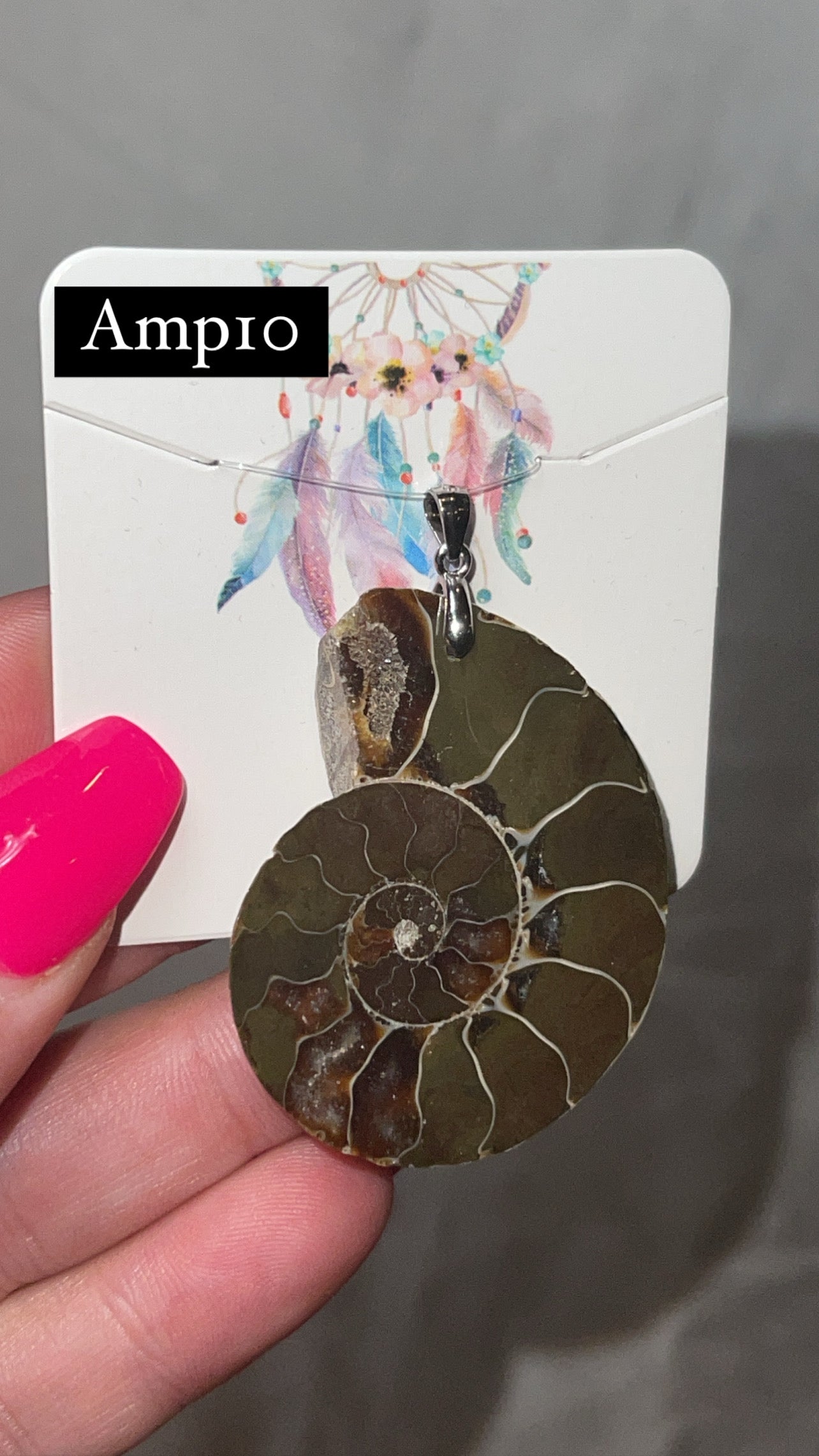 Ammonite Pendant (Choose Your Own)