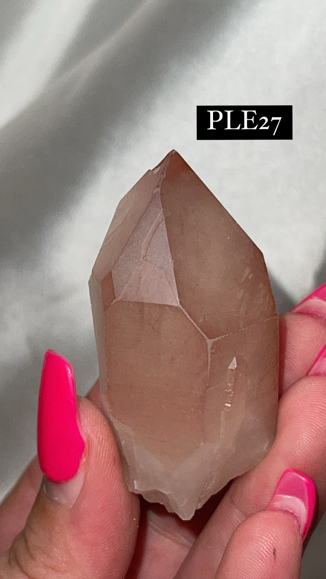 Scarlet Temple Lemurian (Choose Your Own)