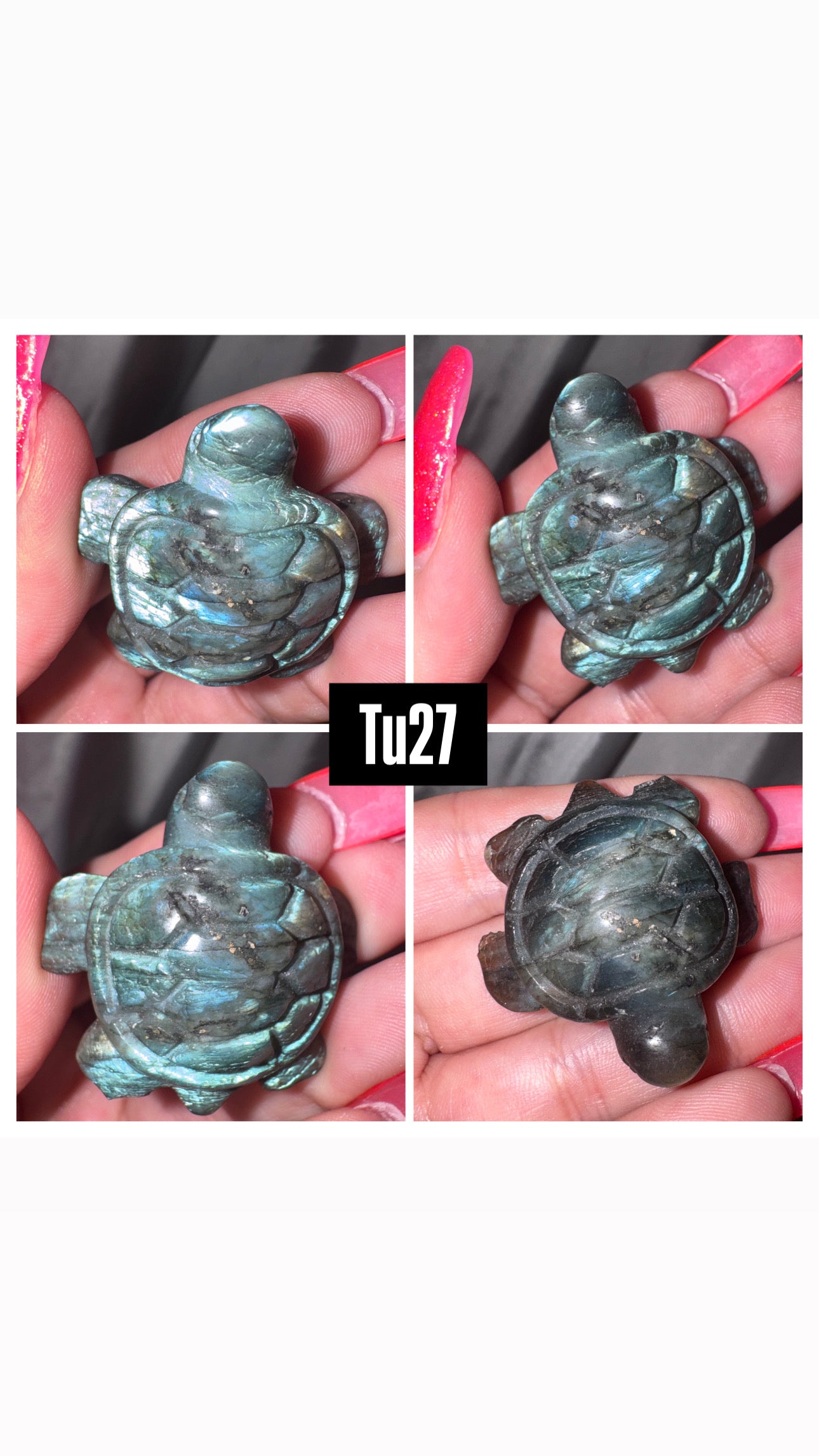Labradorite Sea Turtle