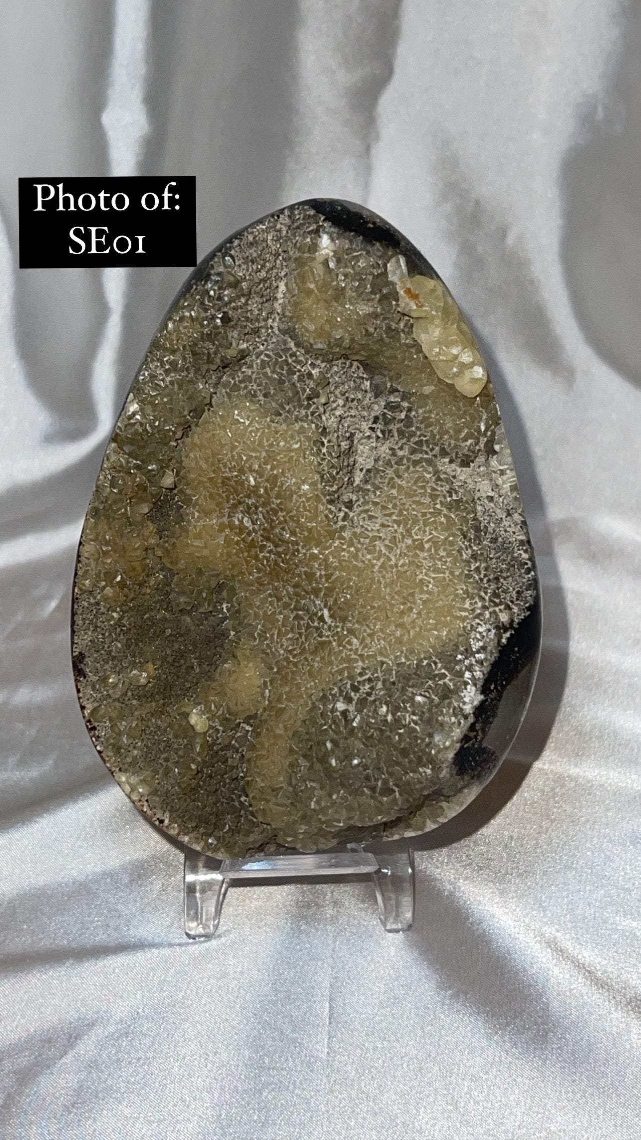 Septerian Large Dragon Egg