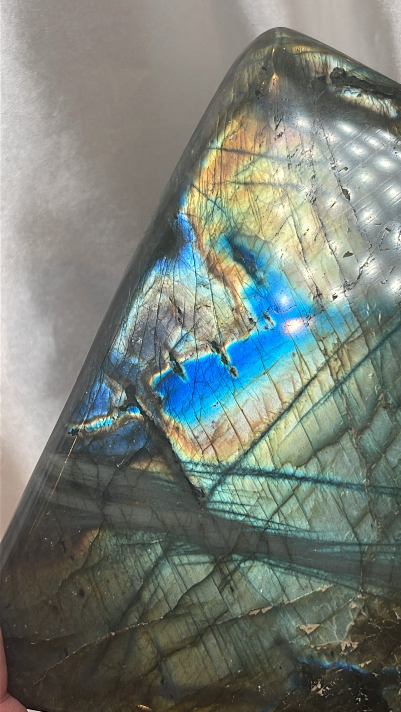 Labradorite XXL Freeform