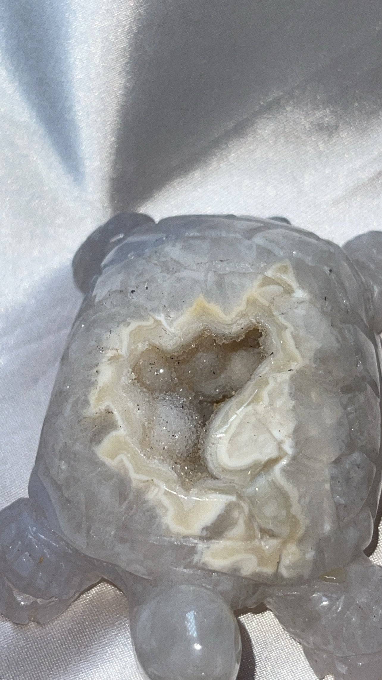 Druzy Agate AAA Large Turtle