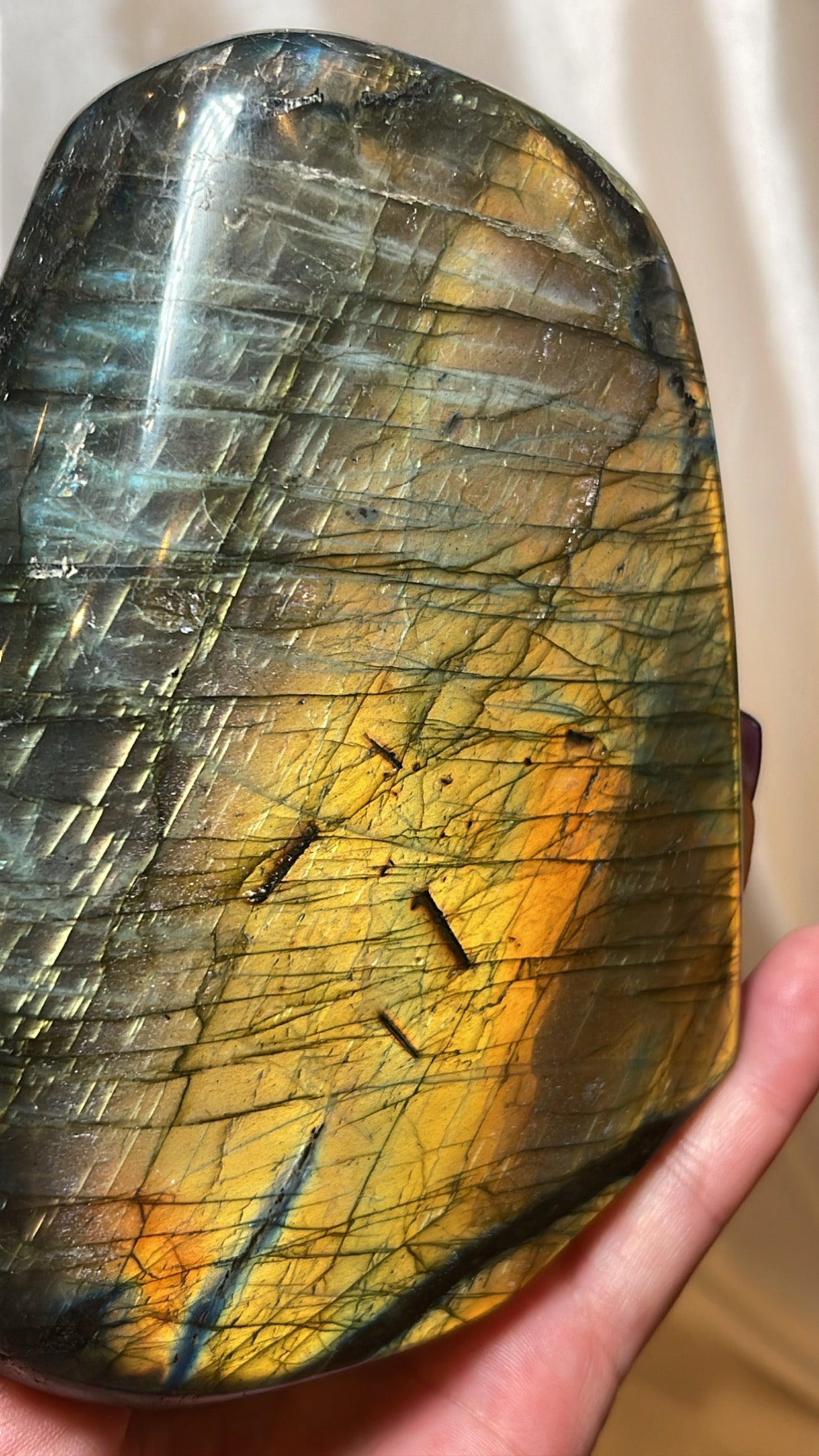 Labradorite XL Freeform