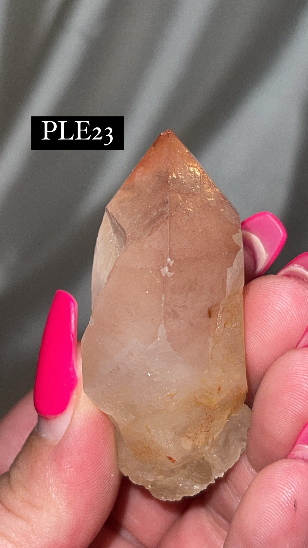 Scarlet Temple Lemurian (Choose Your Own)